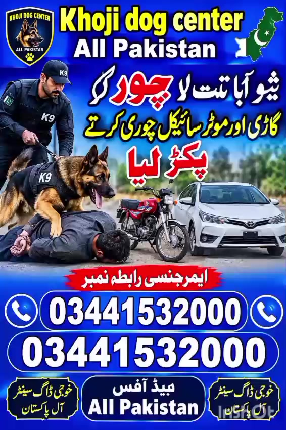 @khoji dog contact number