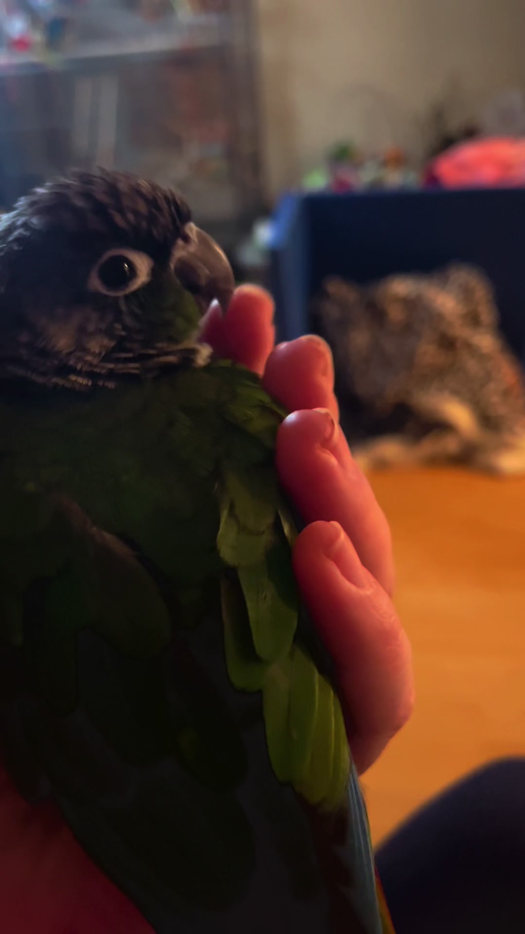 @Houdini 🦜🧚&zwj;♀️💕