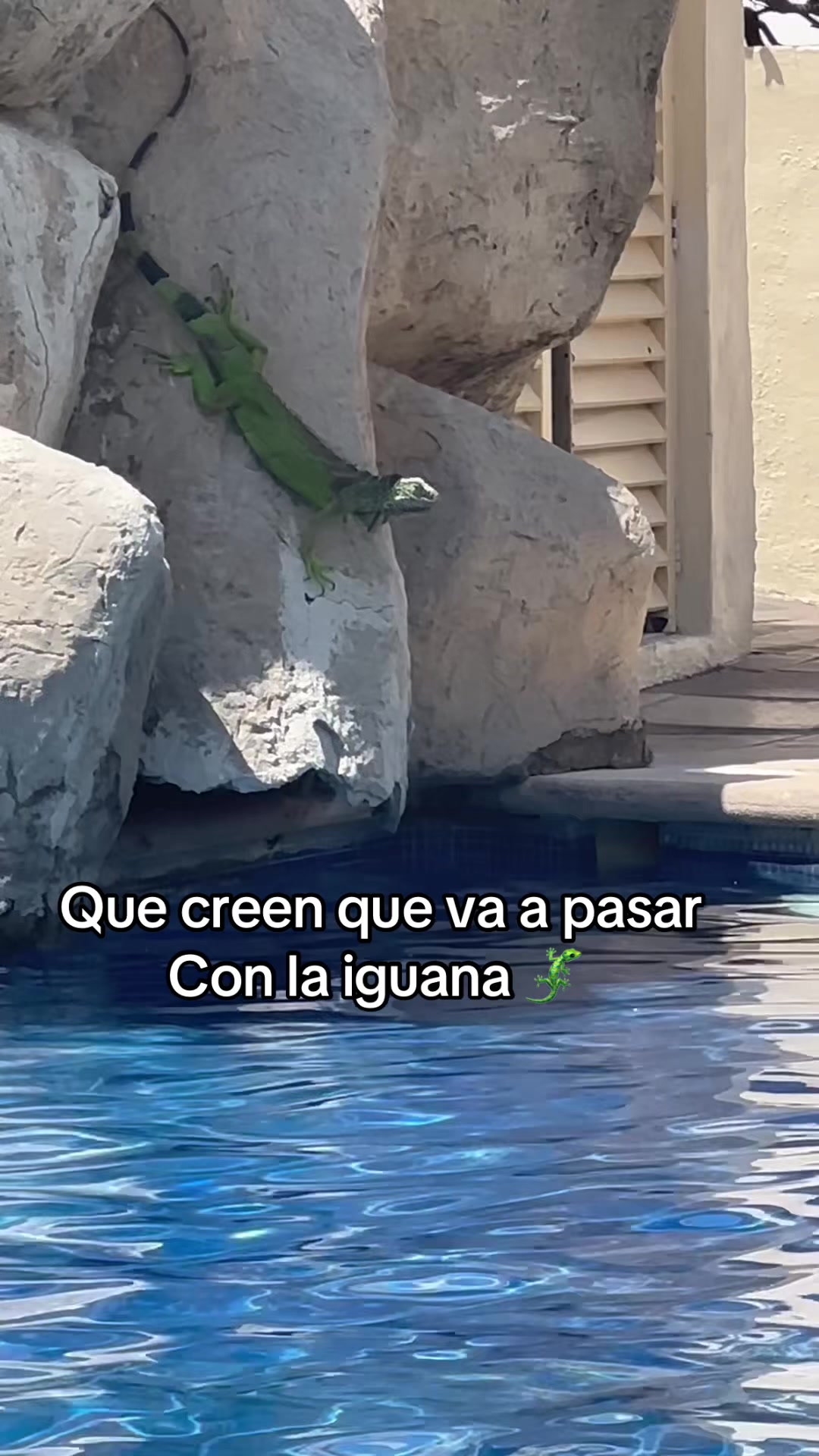 @Manuel Prieto