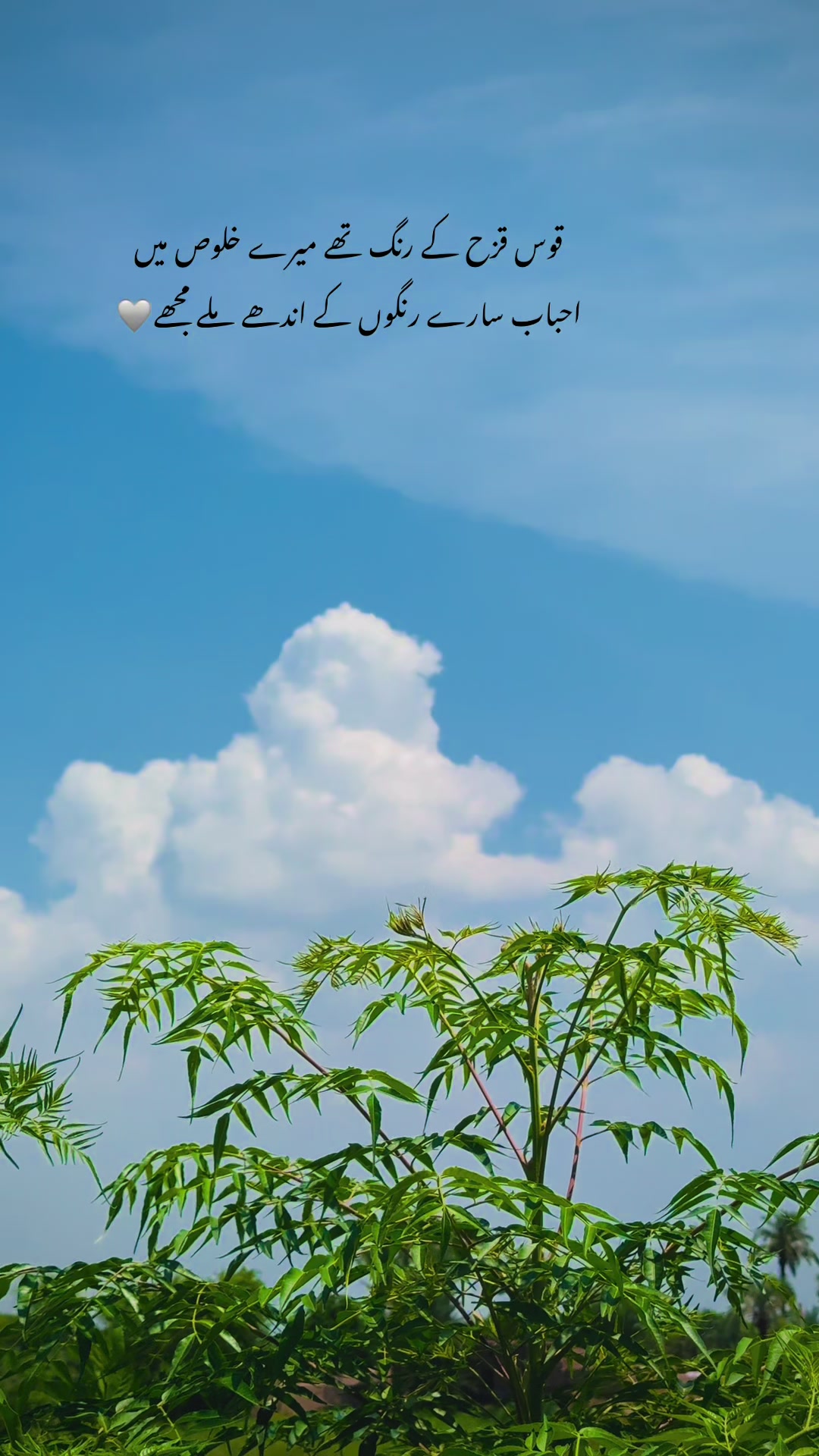 @🌸~