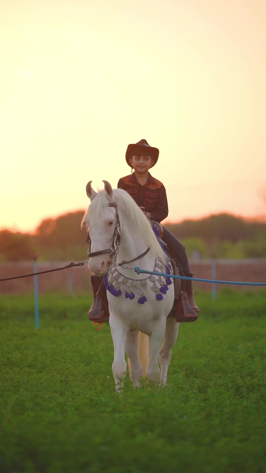 @SUNRISE STUD FARMS RAWALPINDI