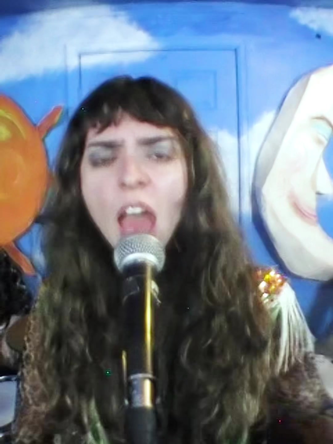 @The Velveteers