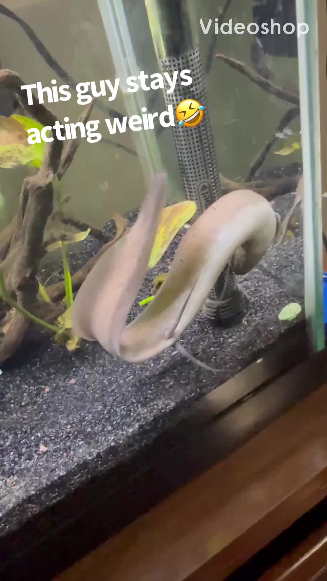 @fishdaddy2002