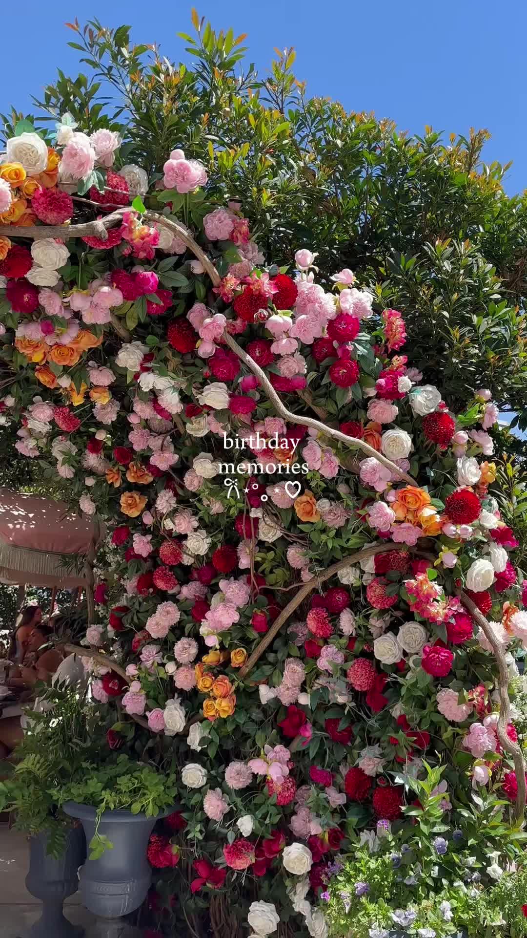 @ash 𐙚⋆°。⋆♡