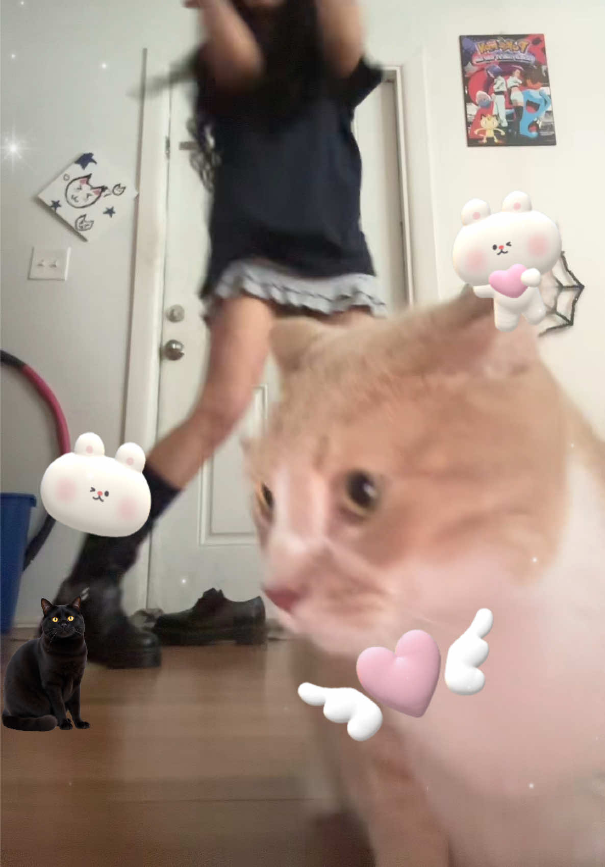@nyanmuffin17