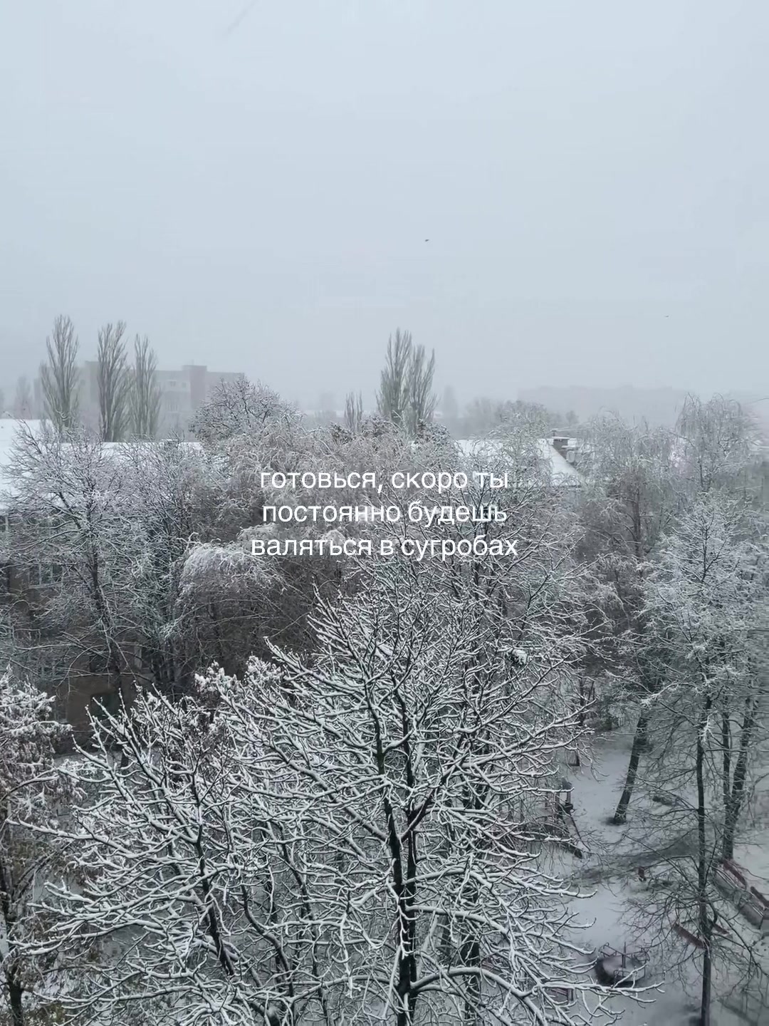 @мяу       мяуууу