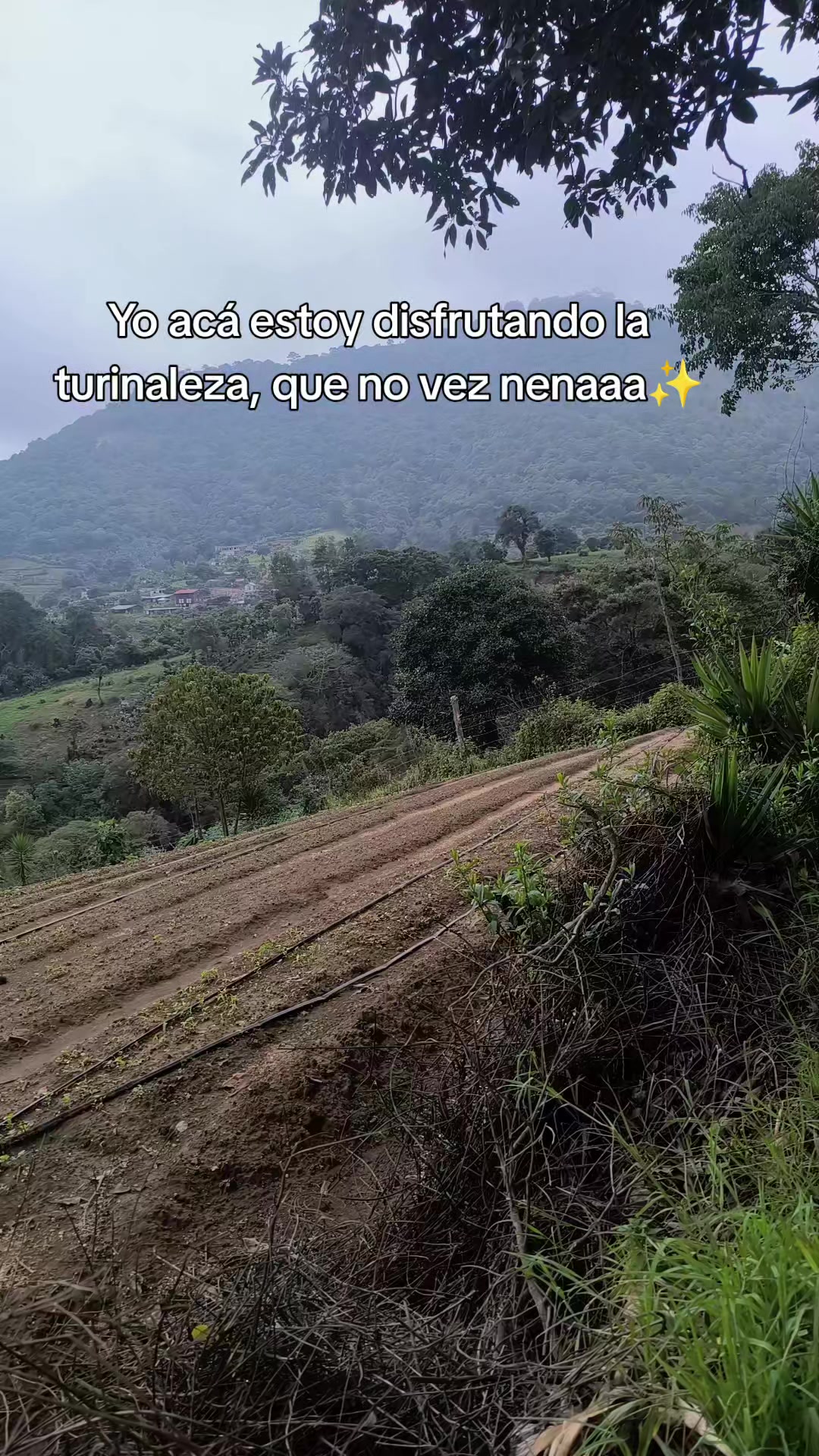 @Dariana 502🇬🇹
