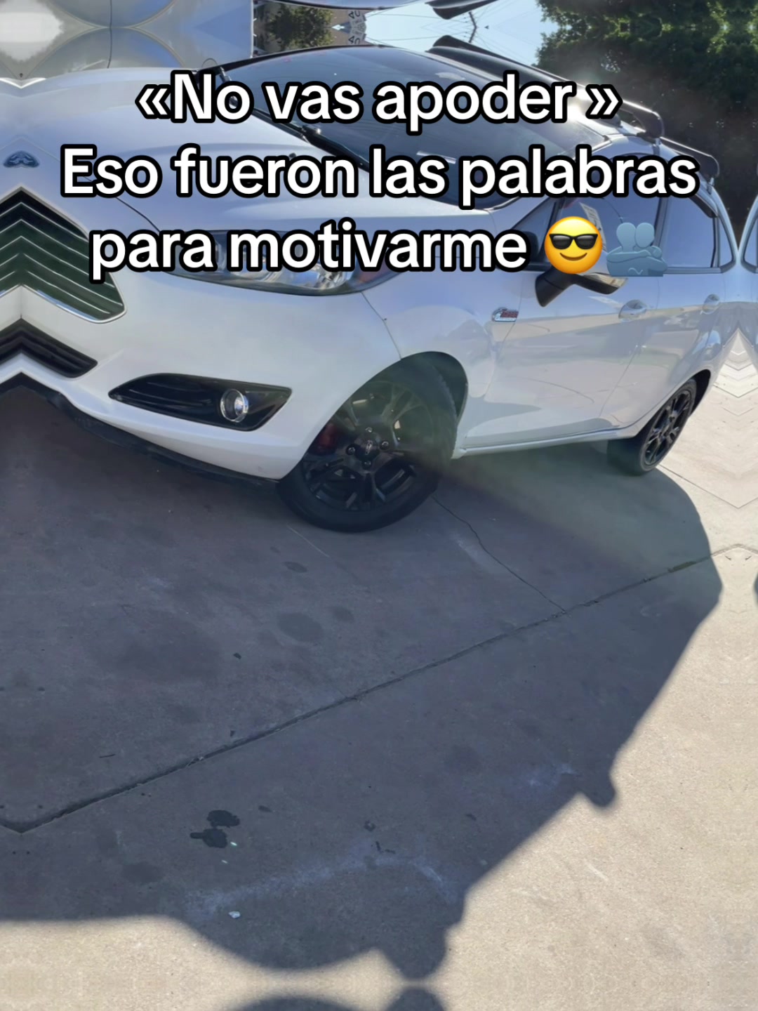 @Axel ALF🦍