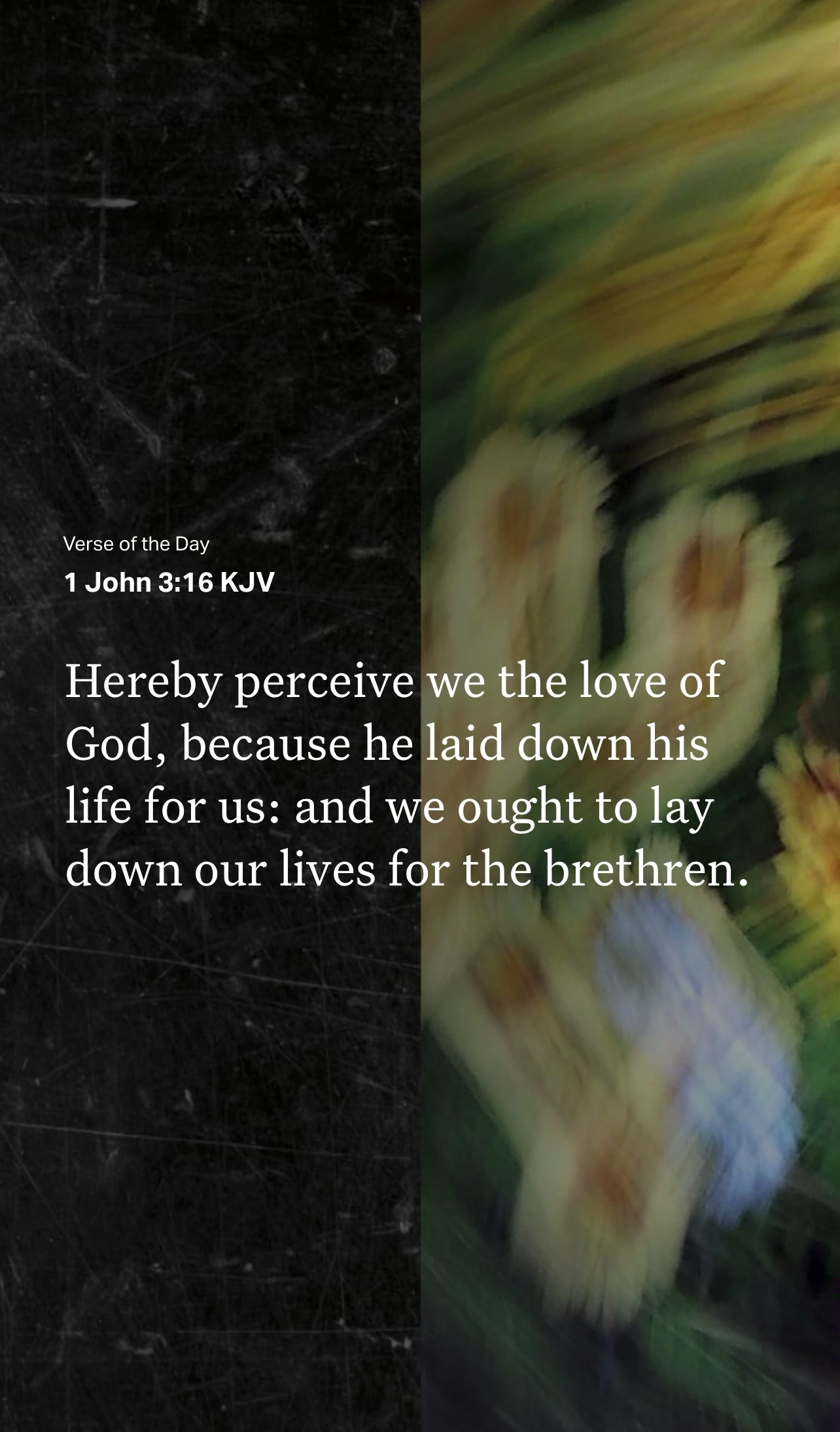 @VoiceOfScripture