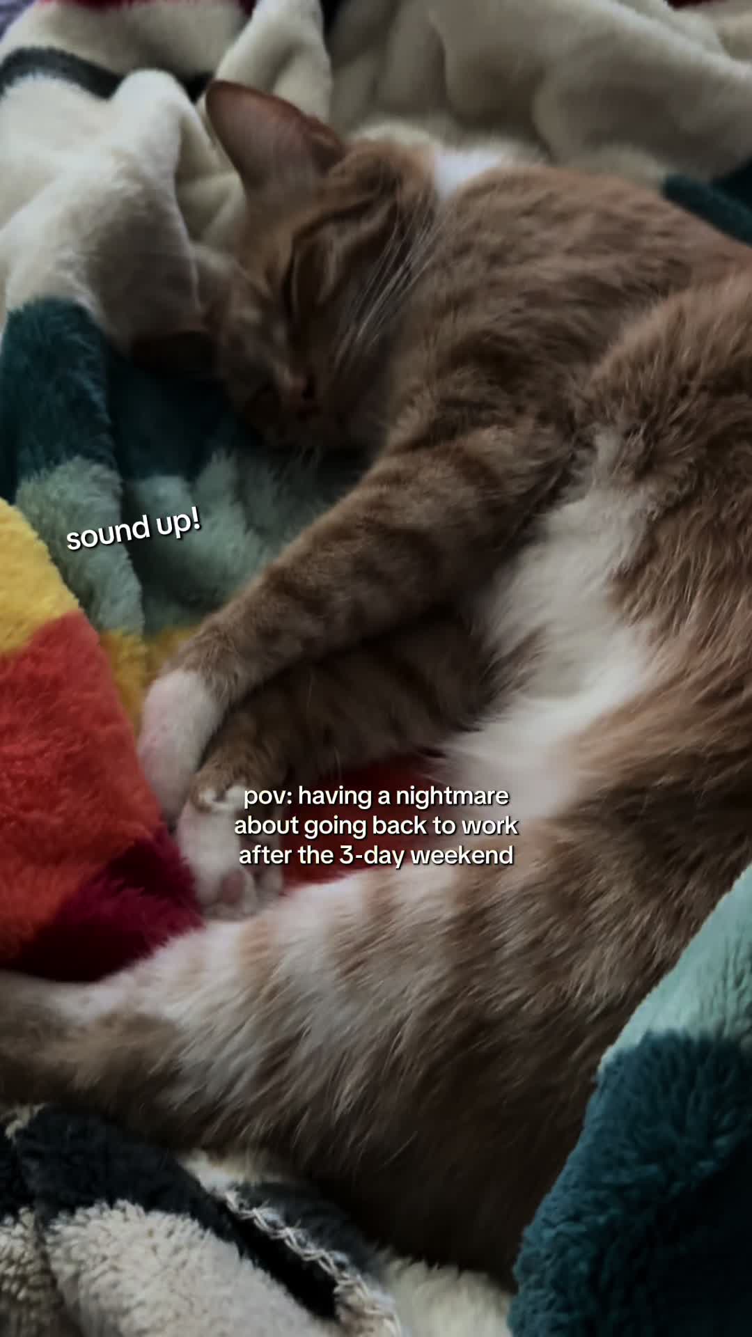 @furtastic4cats