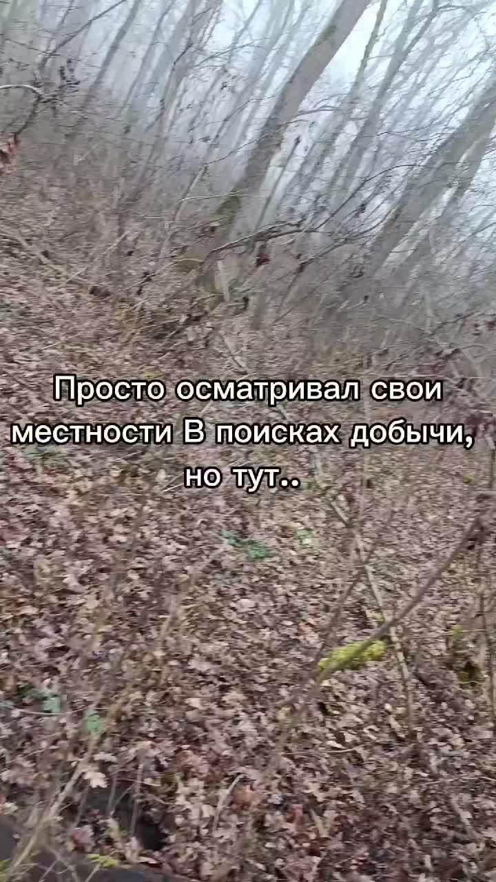 @Лучезарный хрякᛉ
