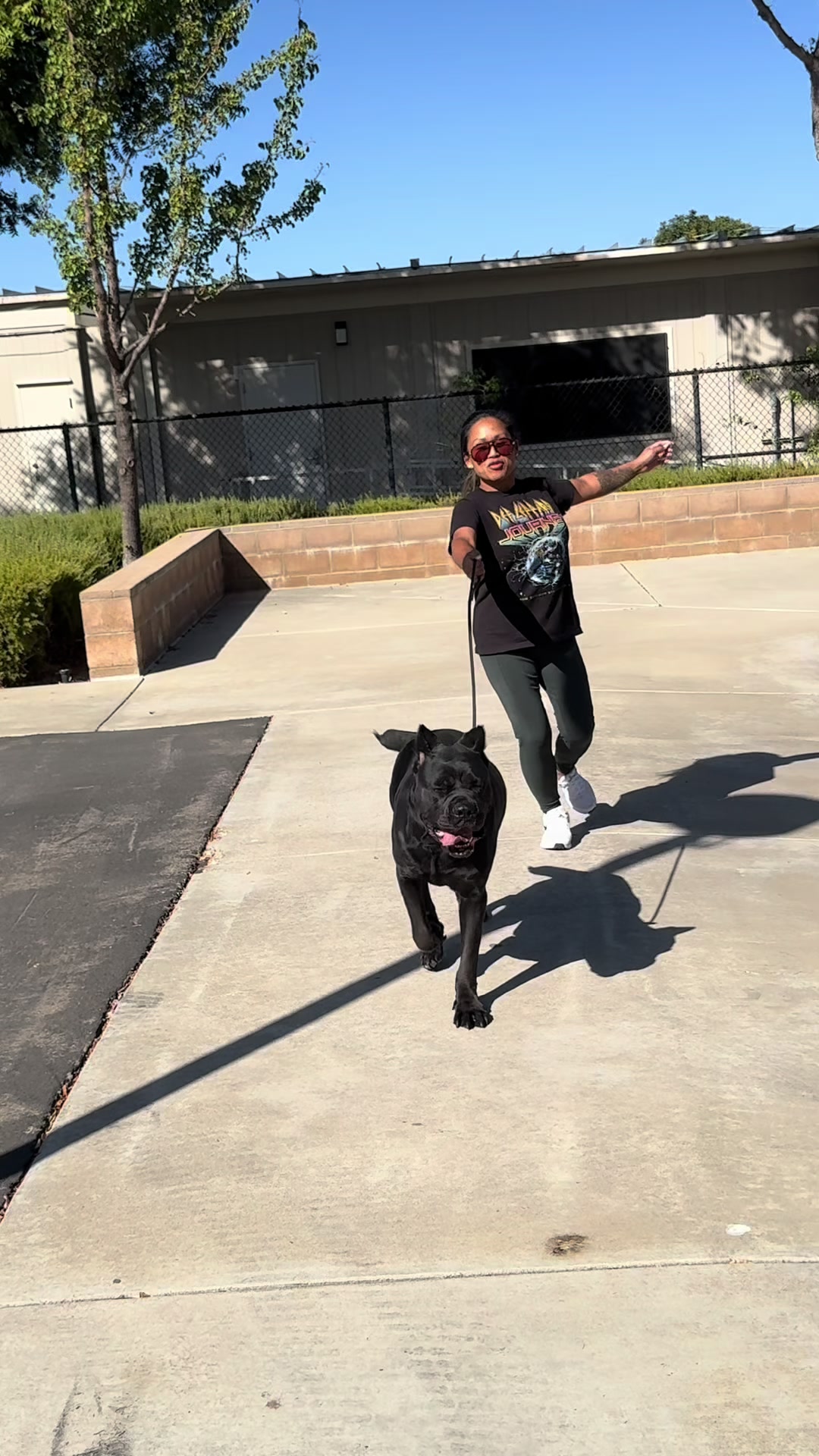 @Tactical K9s Dog Training