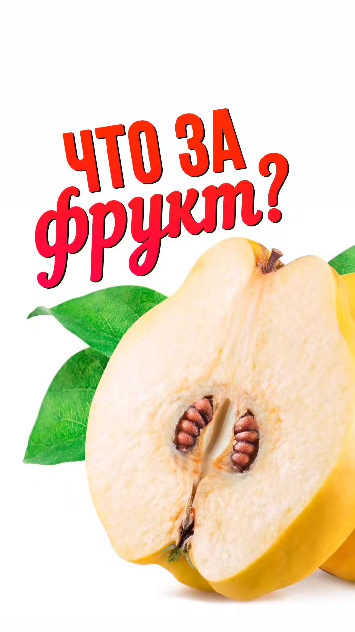 @ЗОЖнавигатор