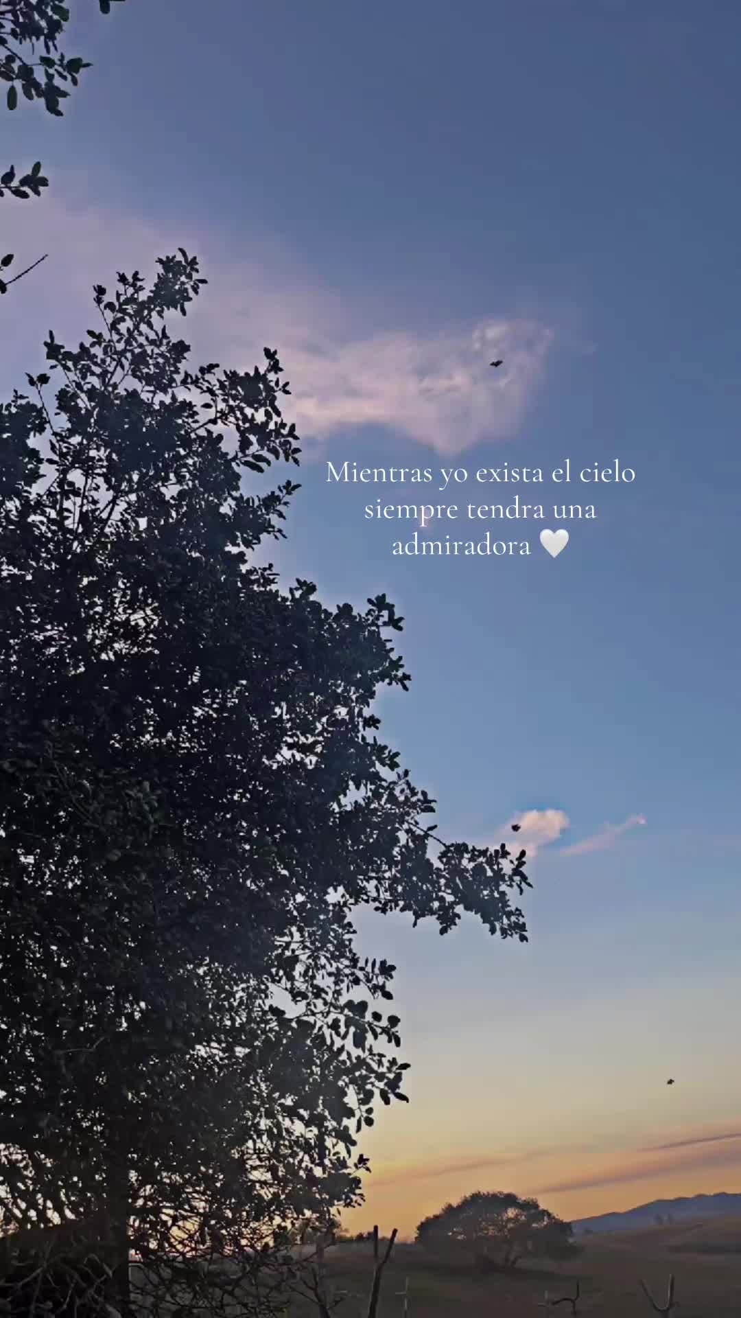@Fabii ♥️