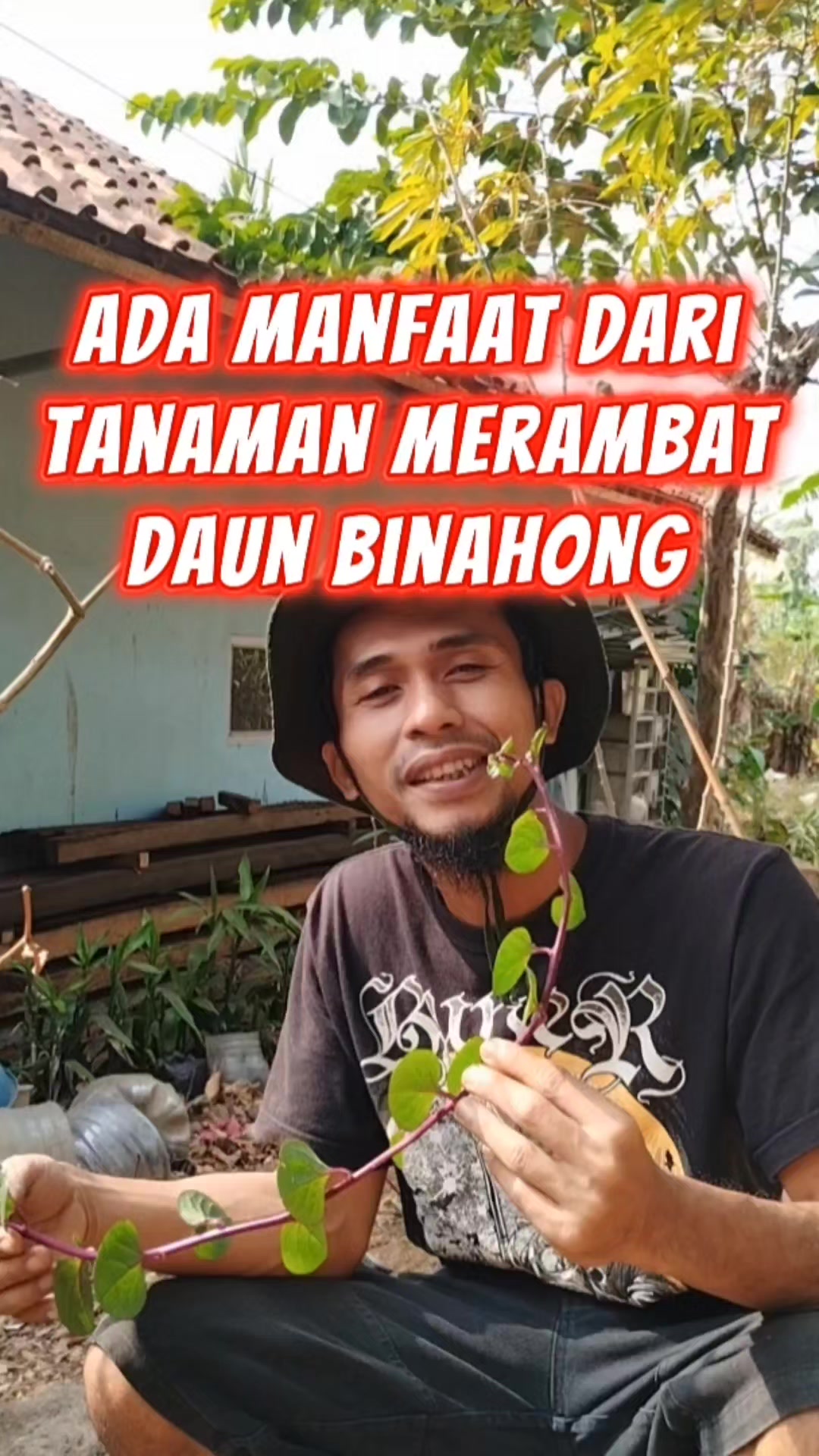 @Bukit Farming