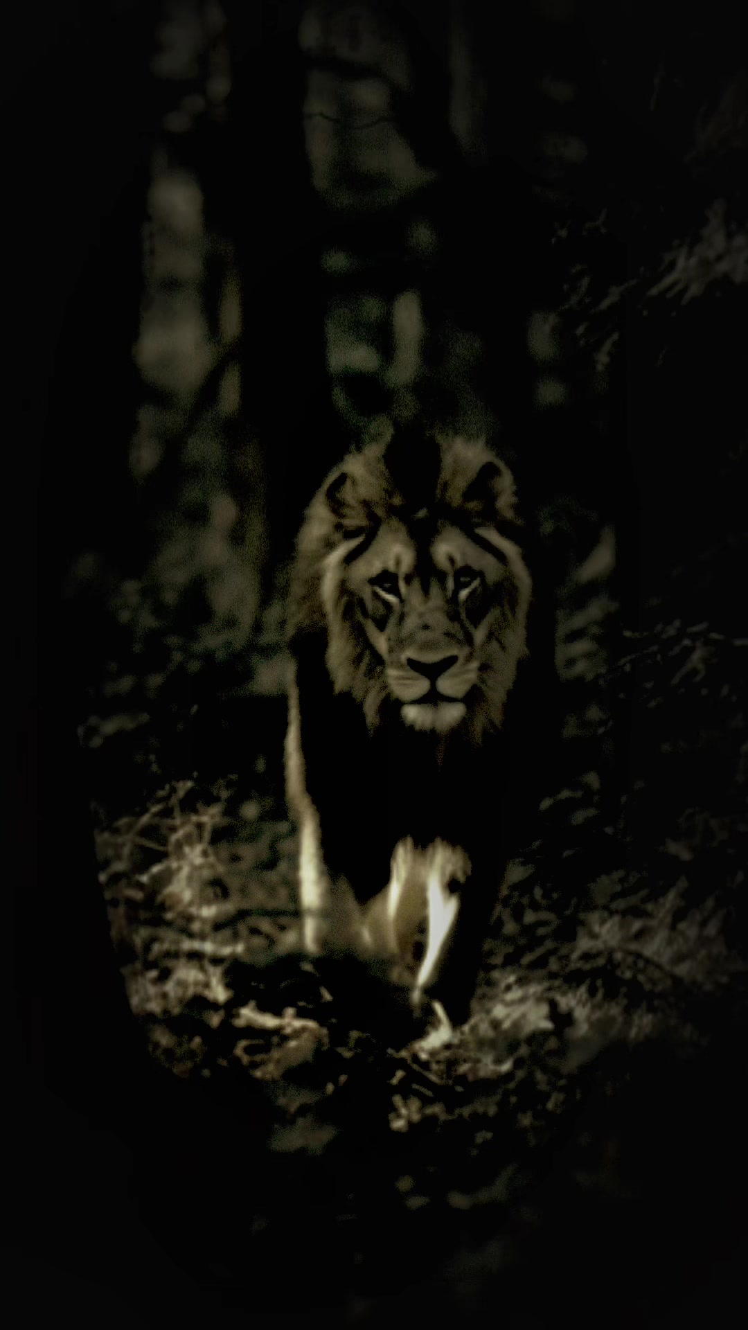 @Lion@Mind