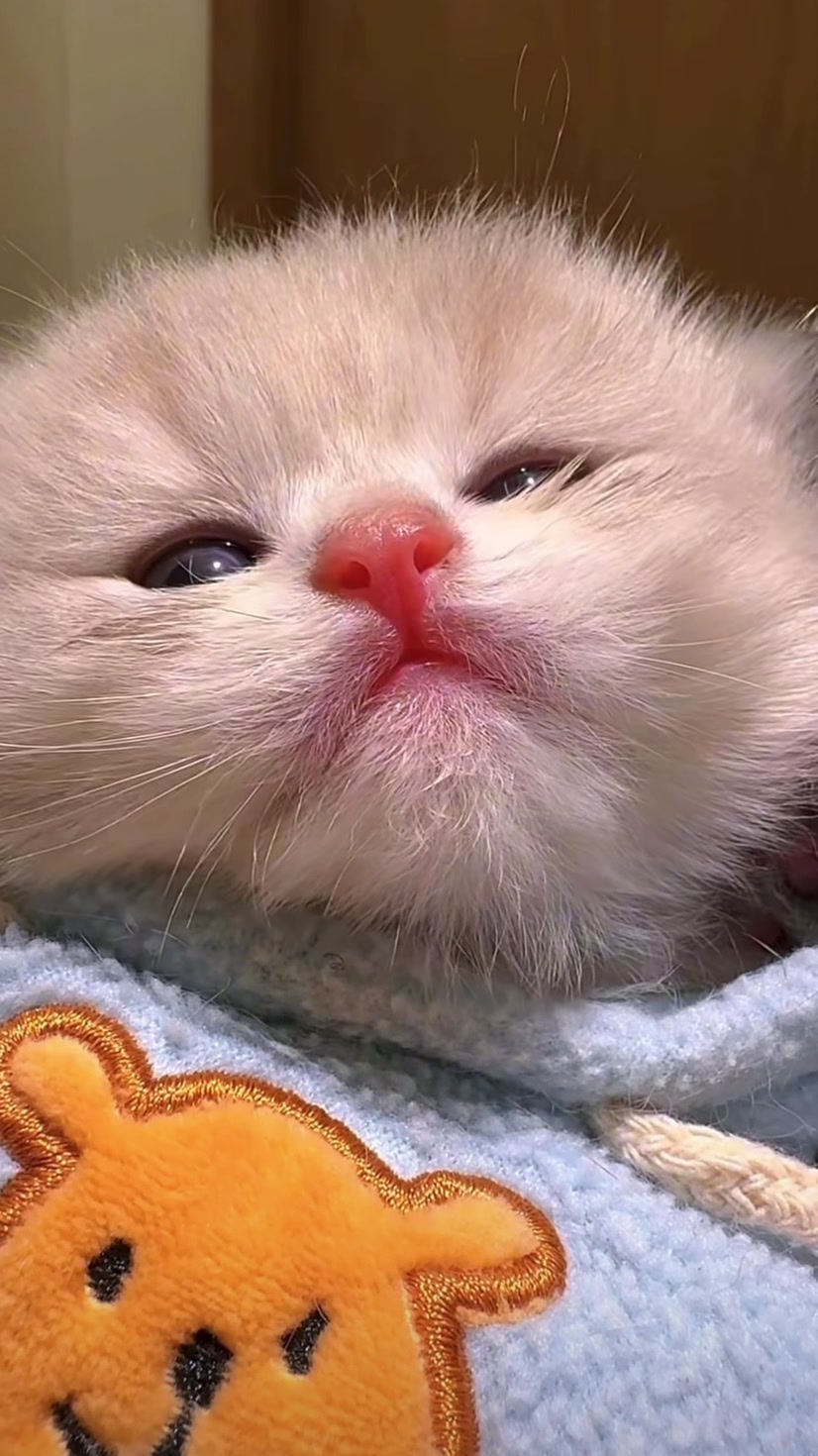 @ViralPick