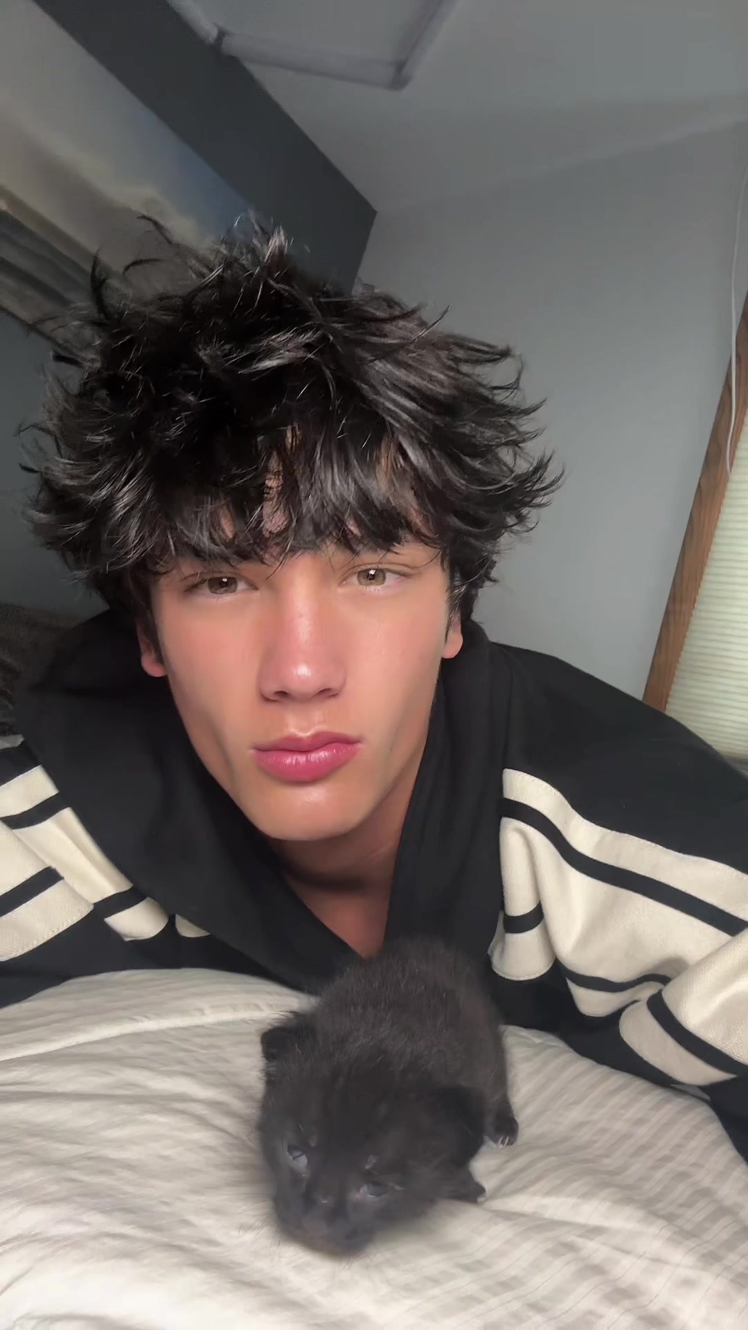 @eli