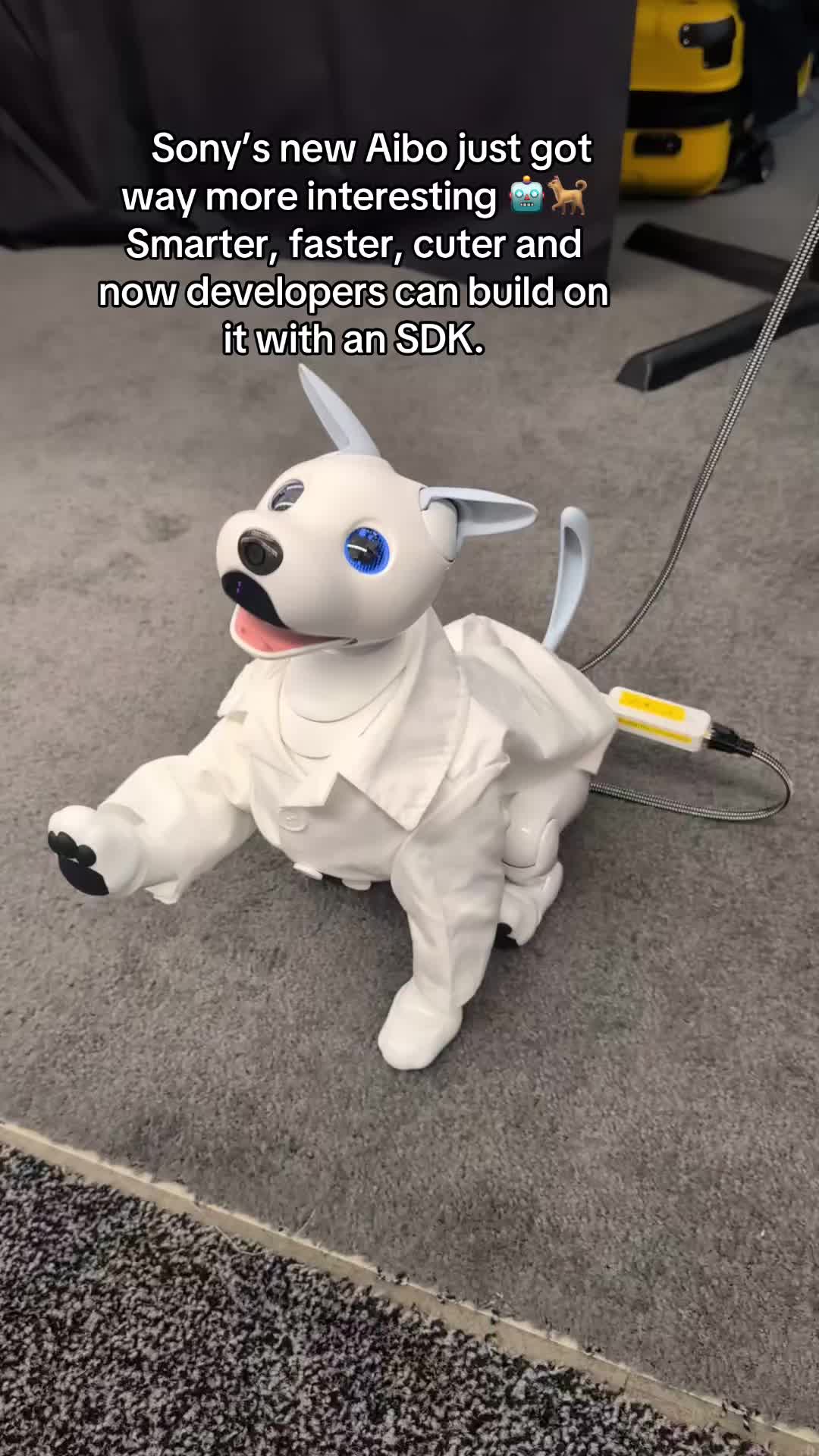 @SRA AGI