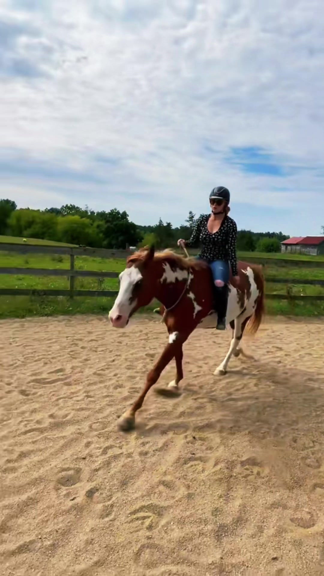 @Free Spirit Equestrian