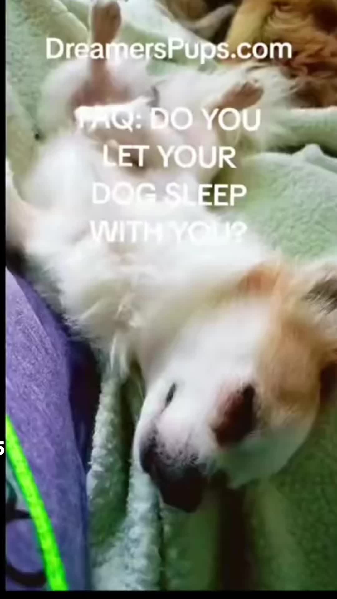 @PuppyMom