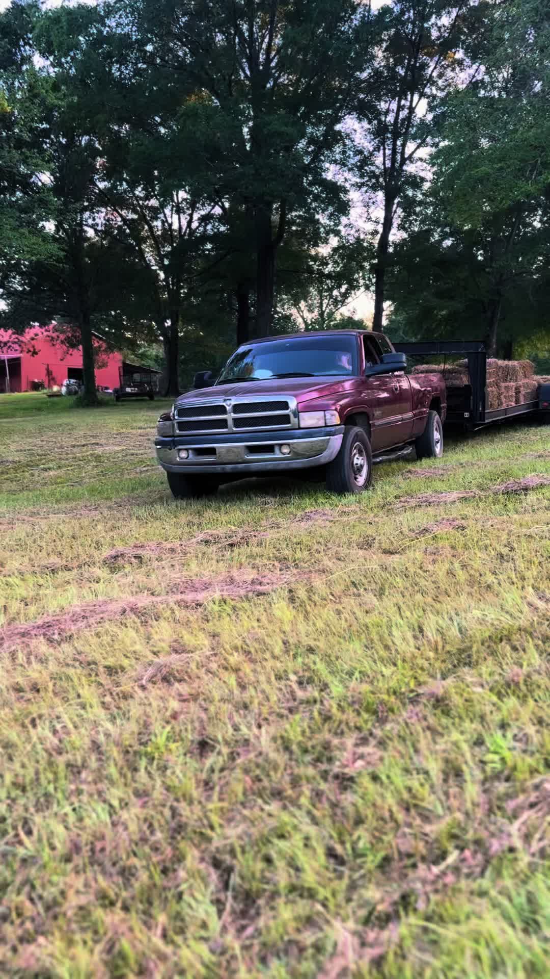 @RAT_RIVER_THE