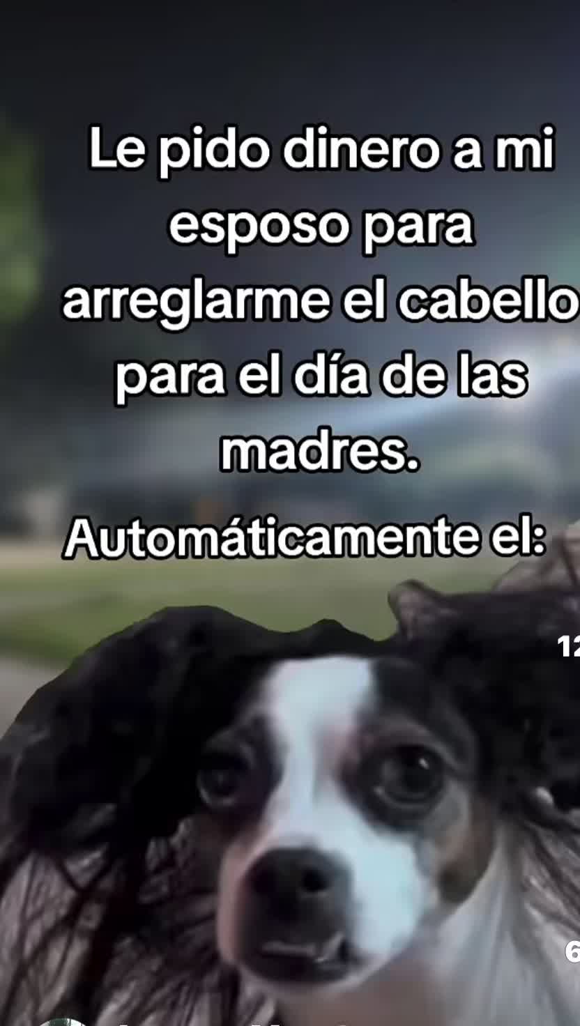 @Soraida