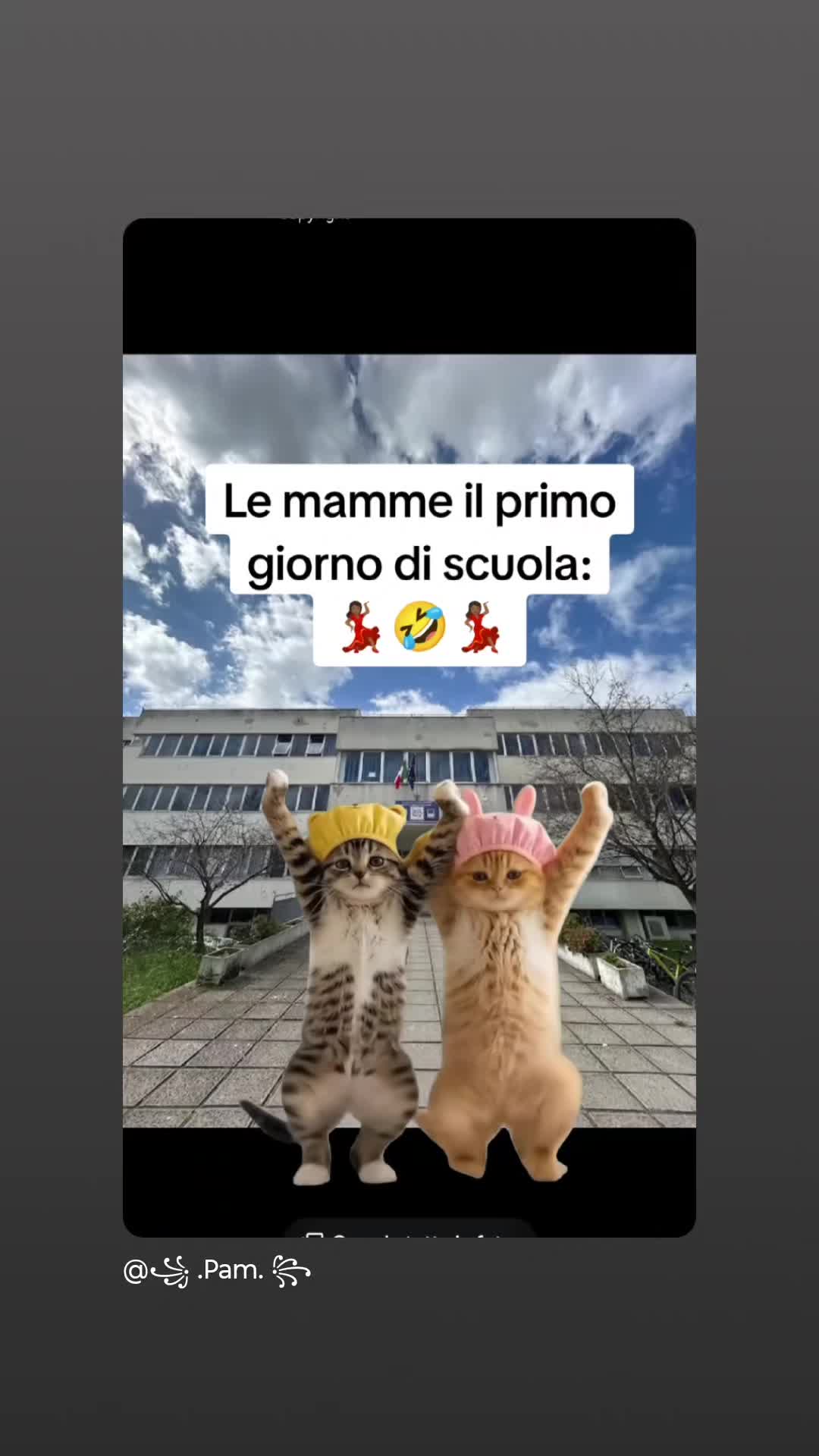 @leonessa84angela