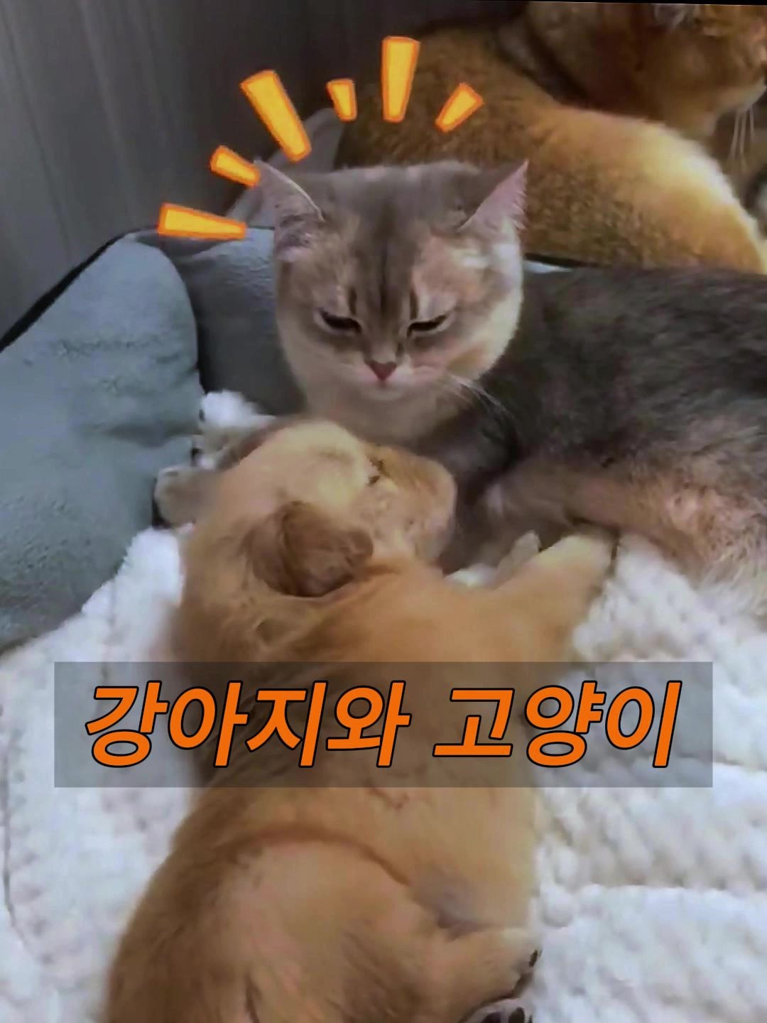 @삼촌Cut2025