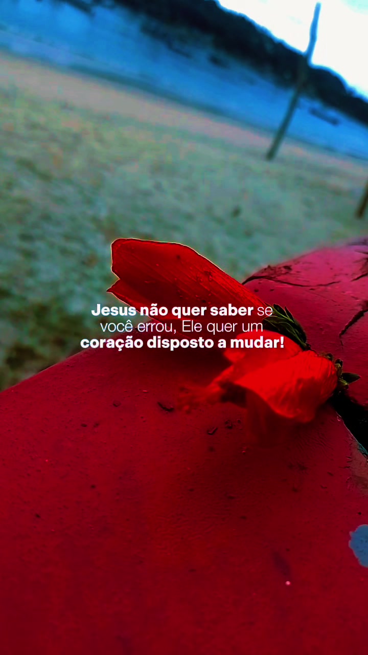 @Sonia cordeiro