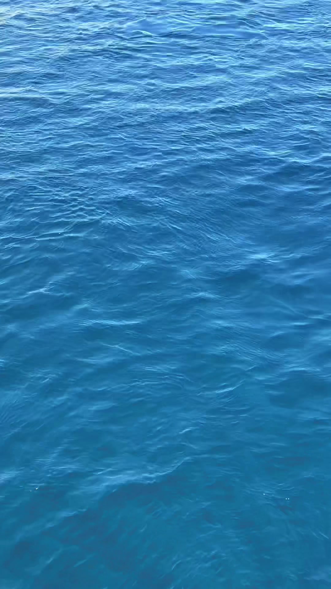 @bbqchido