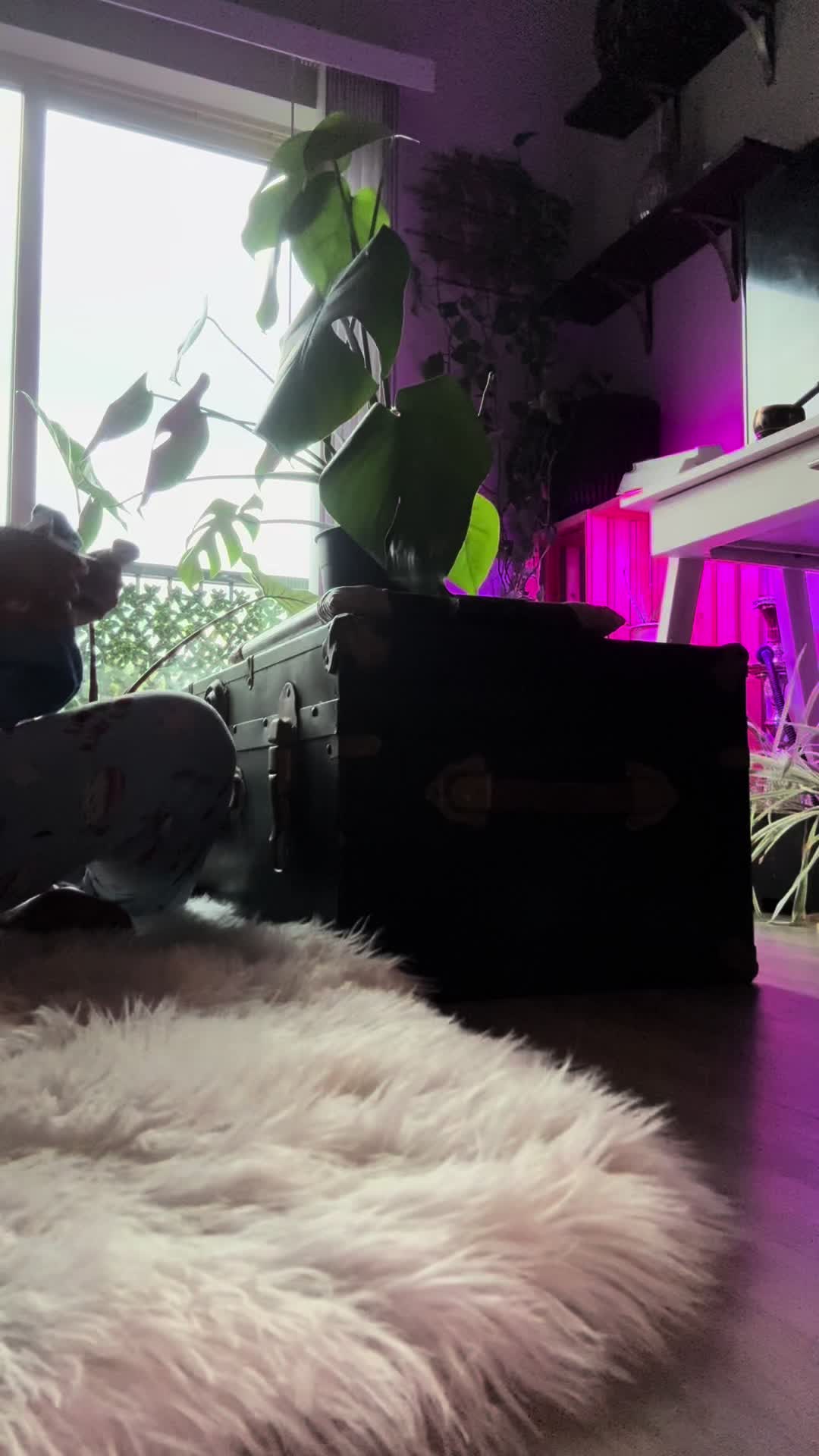 @jamstir