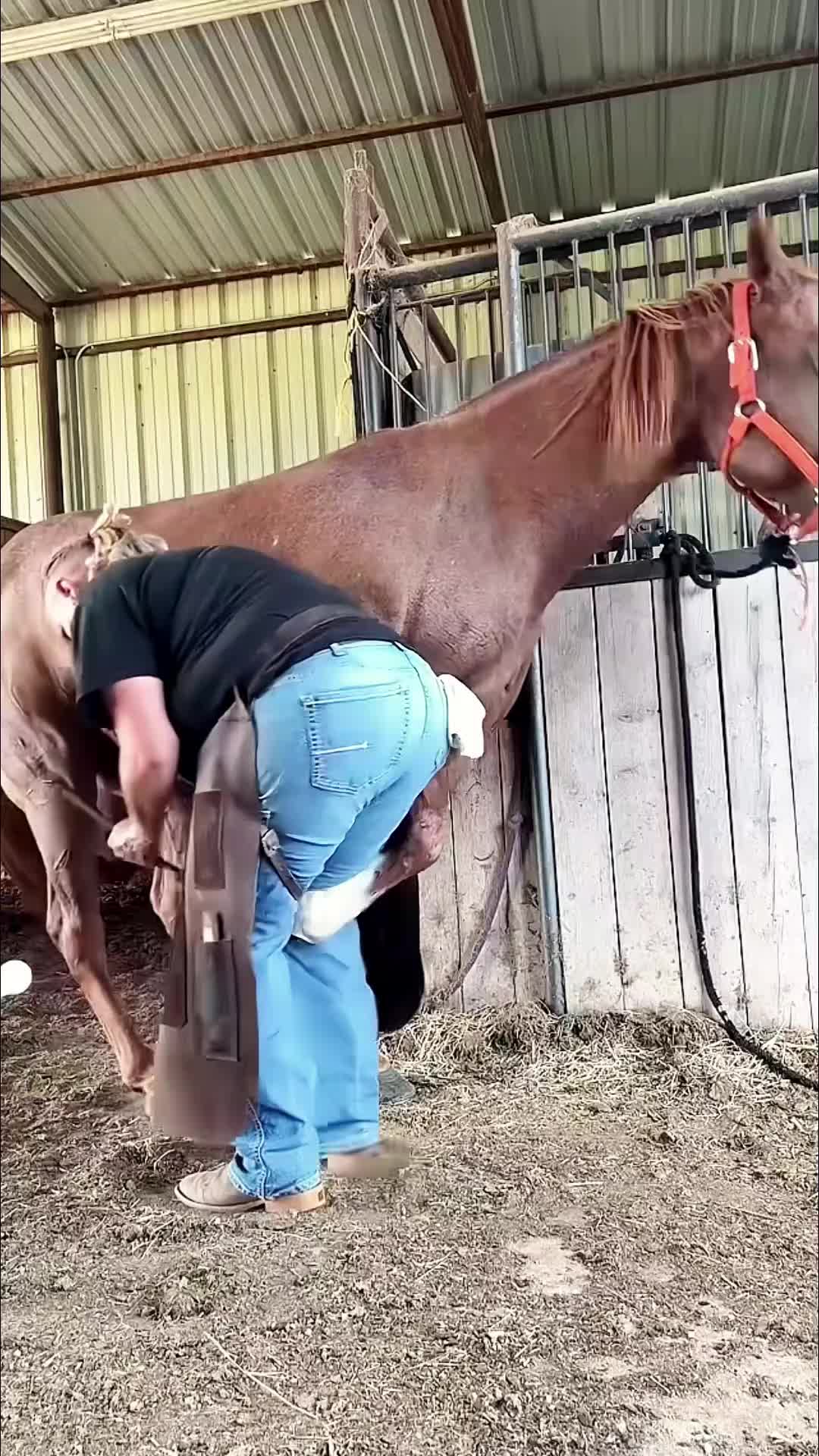 @Tessa - Animal US