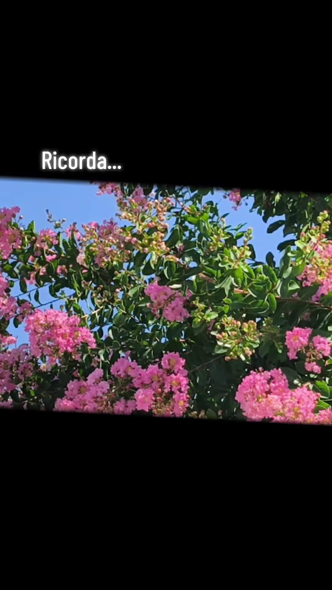 @La_Mari🌼