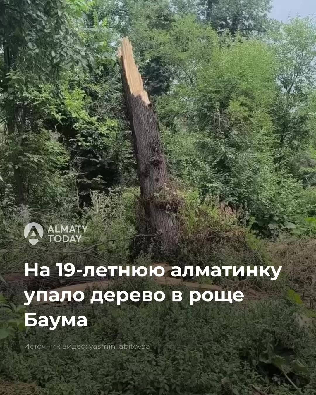 @Almaty Today