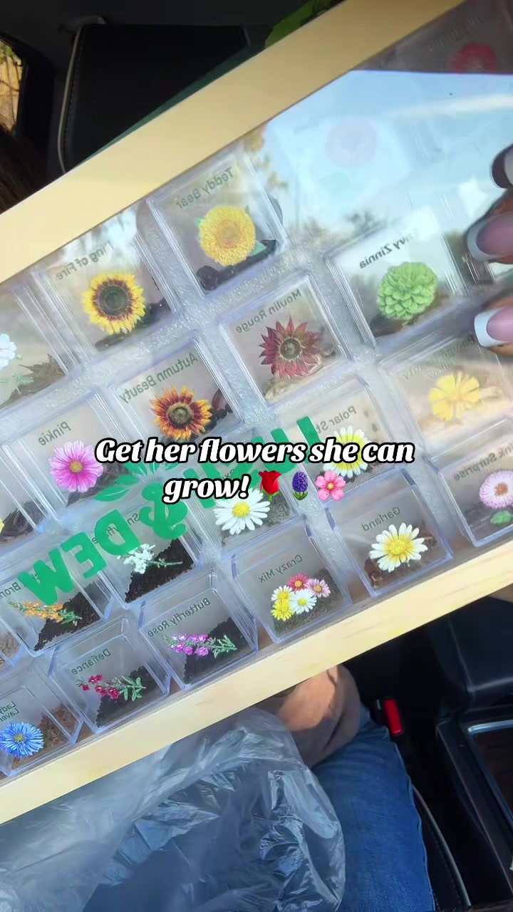 @Lu | TTS Mom Finds