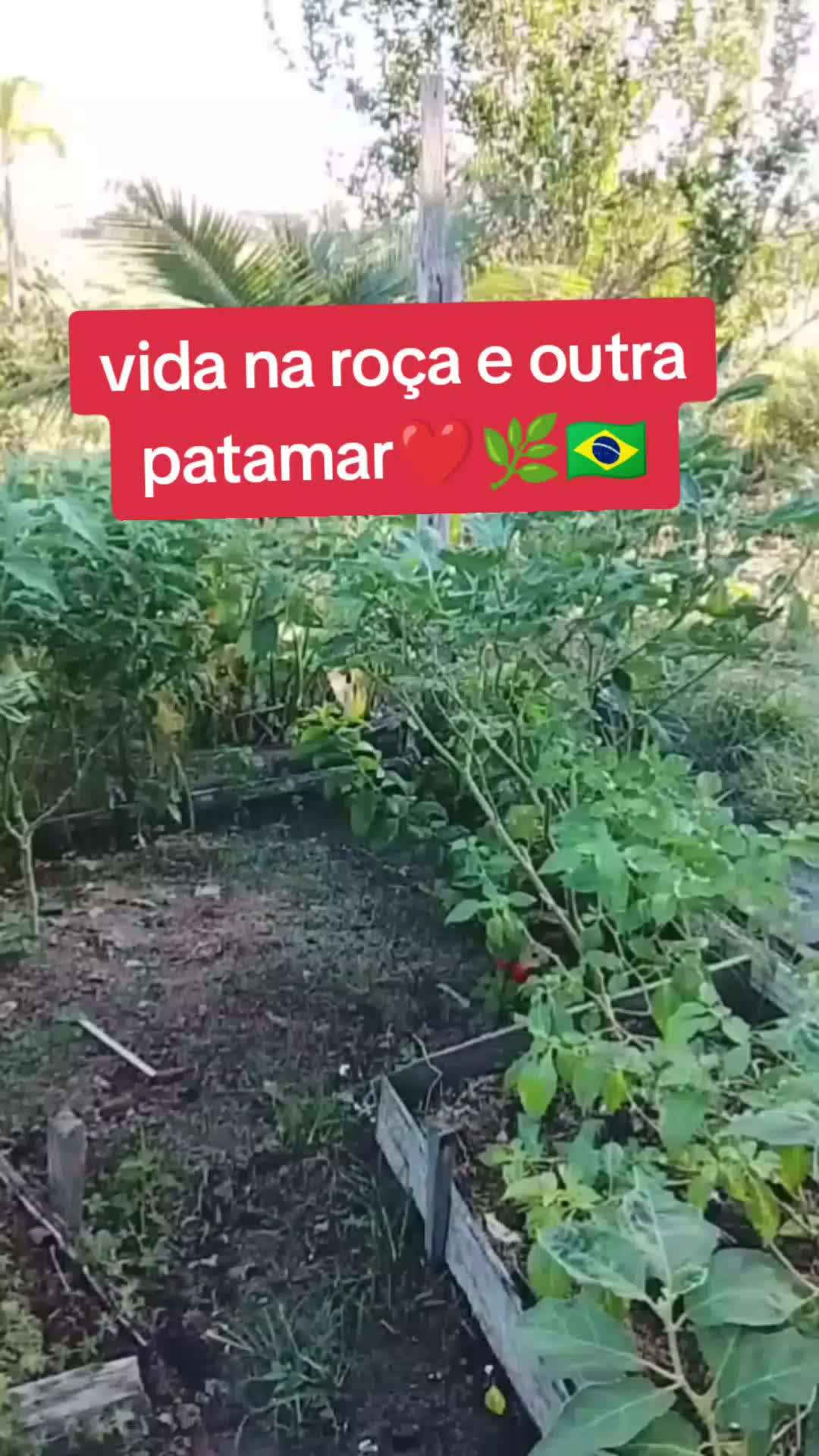 @🧞♂️ṢĄƝŢƠŞ🧞♂️
