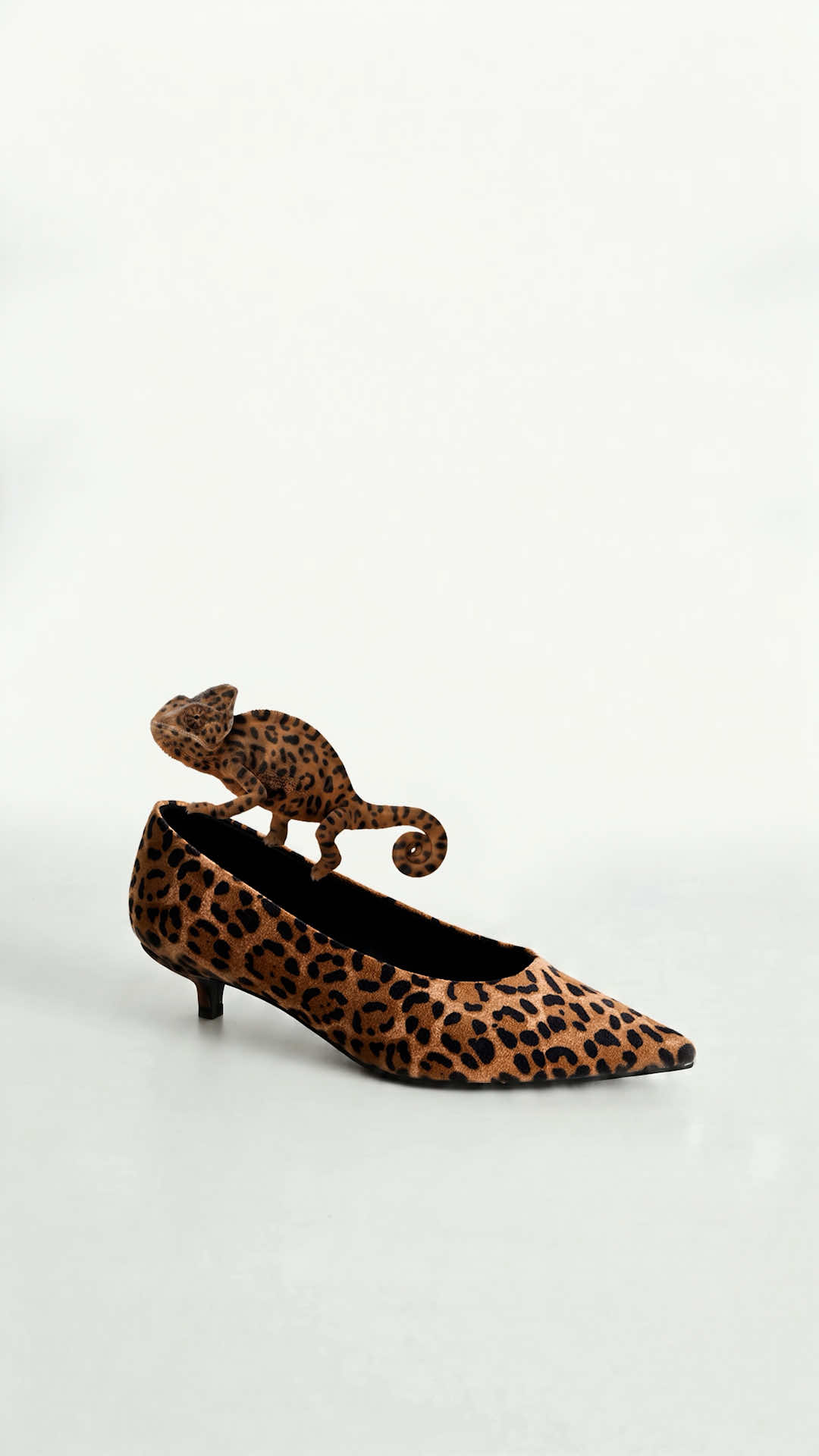 @Charles & Keith