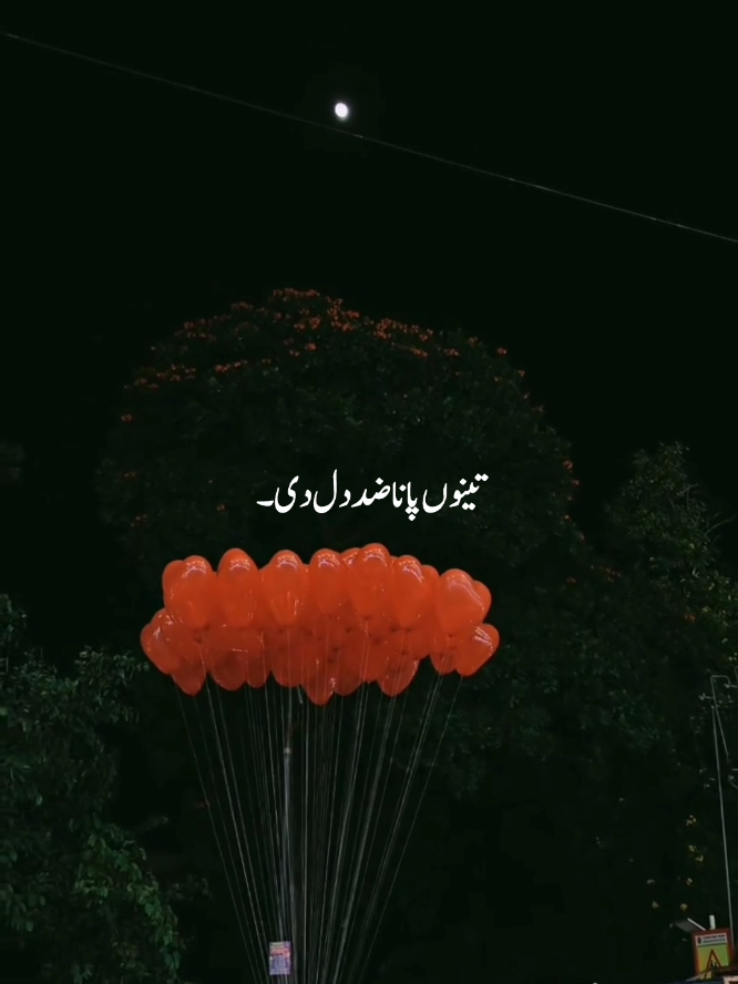 @Uᴍᴀɪʀ Vɪʙᴇs ♡