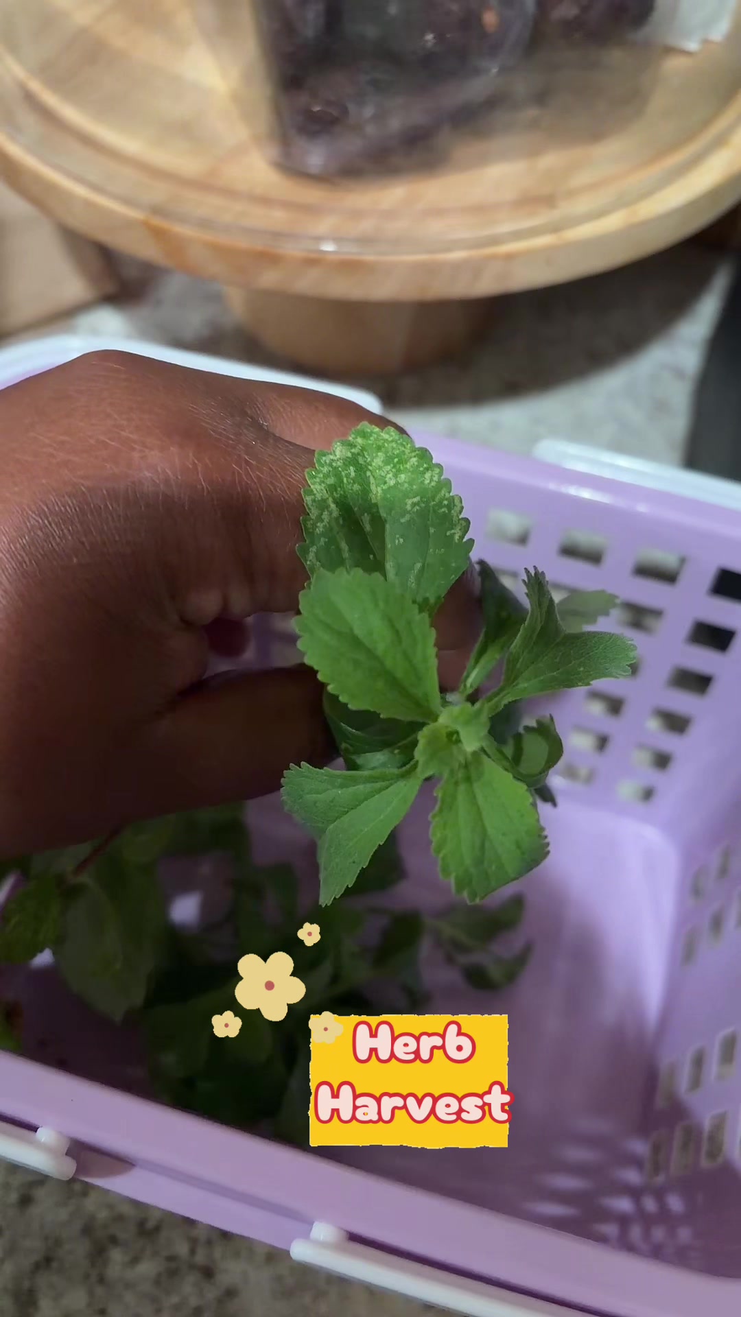@🫑🍅🫐Deneen👩🏾🌾🪴🫚