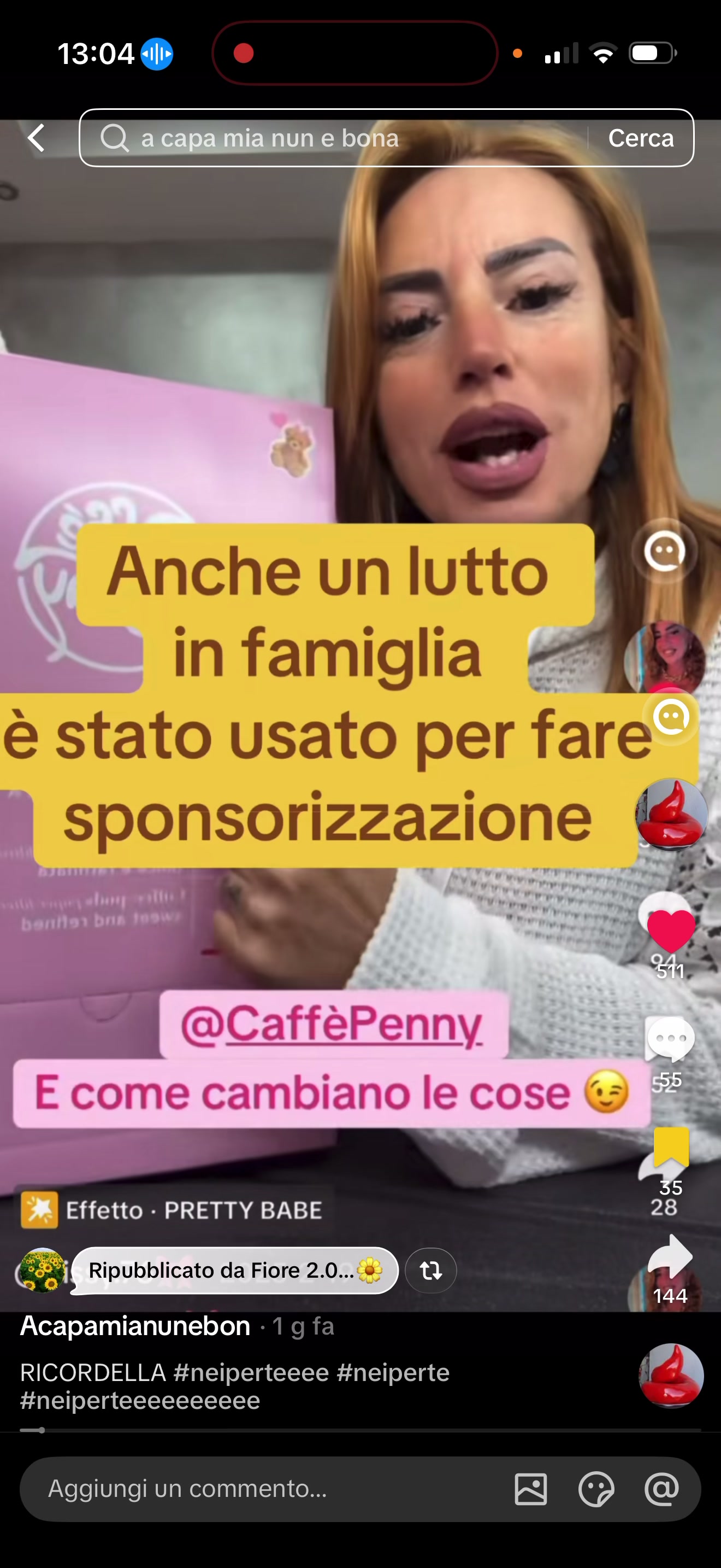 @lepinkcattivone