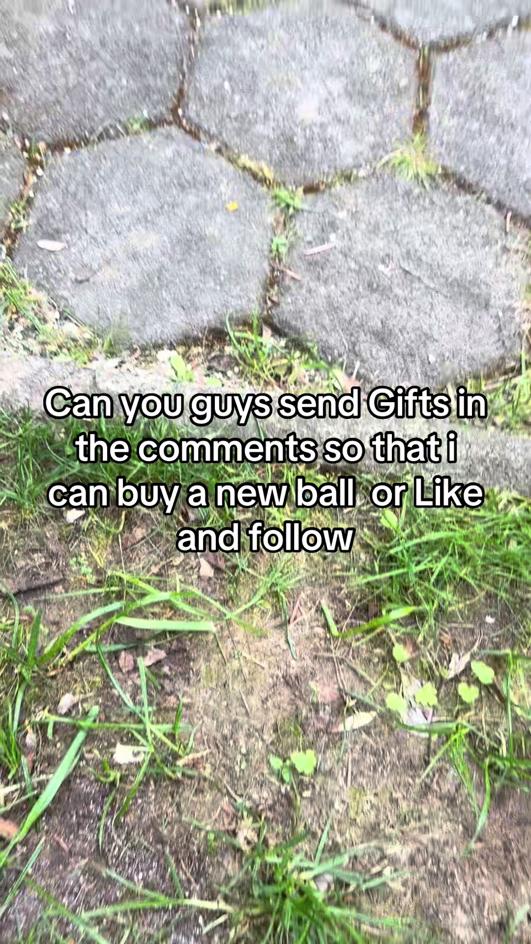 @McNaggi