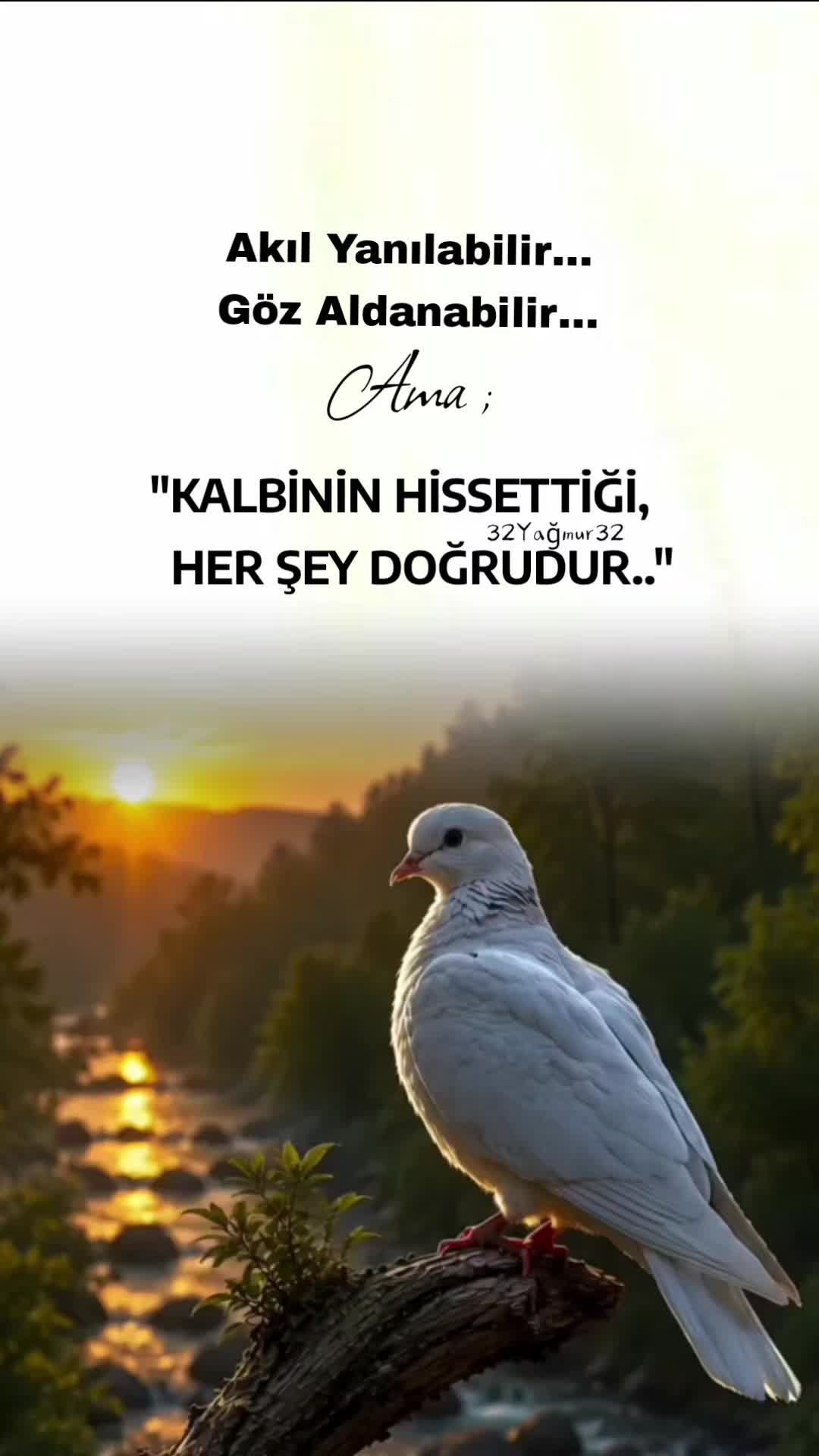 @𝗬𝗮ğ𝗺𝘂𝗿