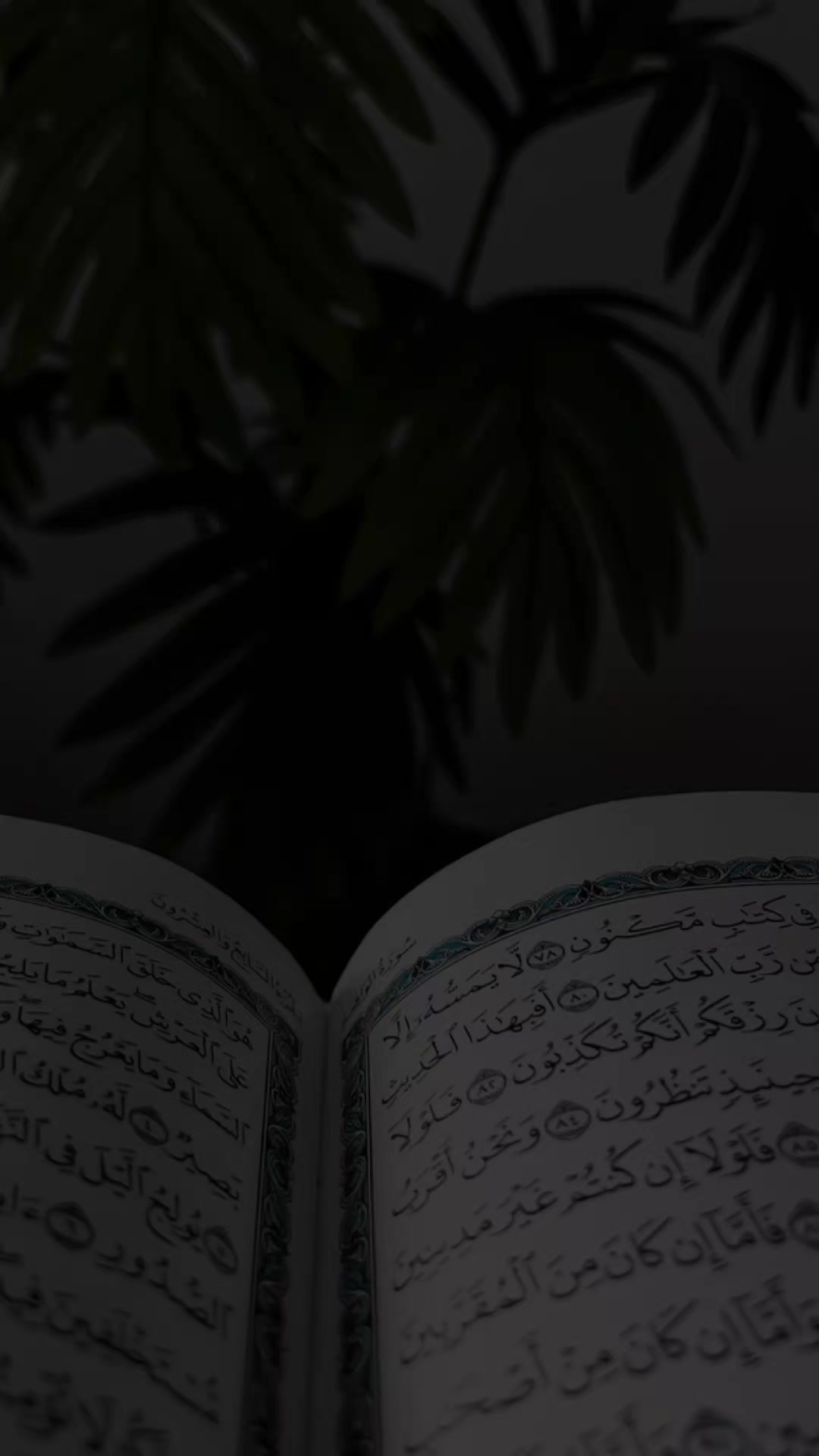@بـيار خـيرالله ✪
