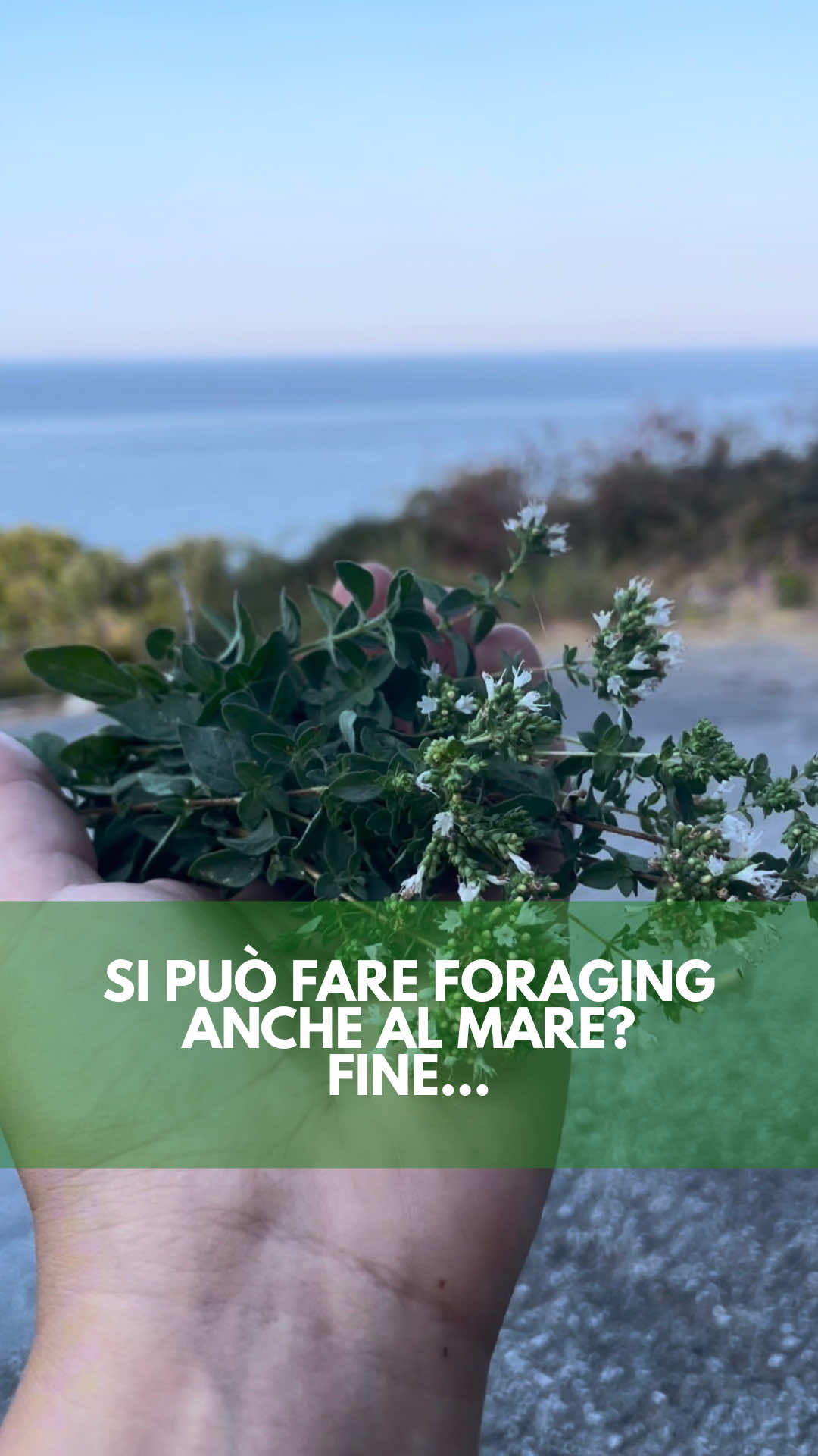 @icookwithnature