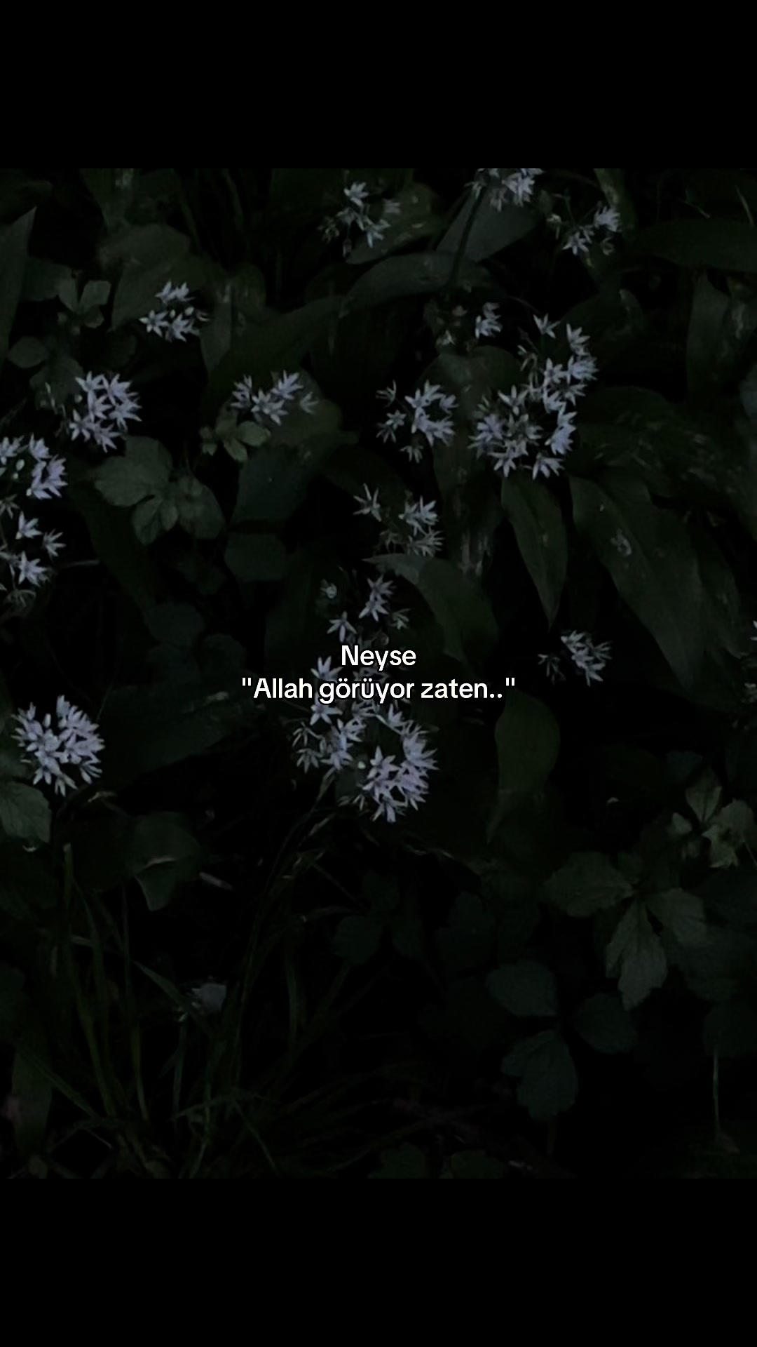 @𝓐