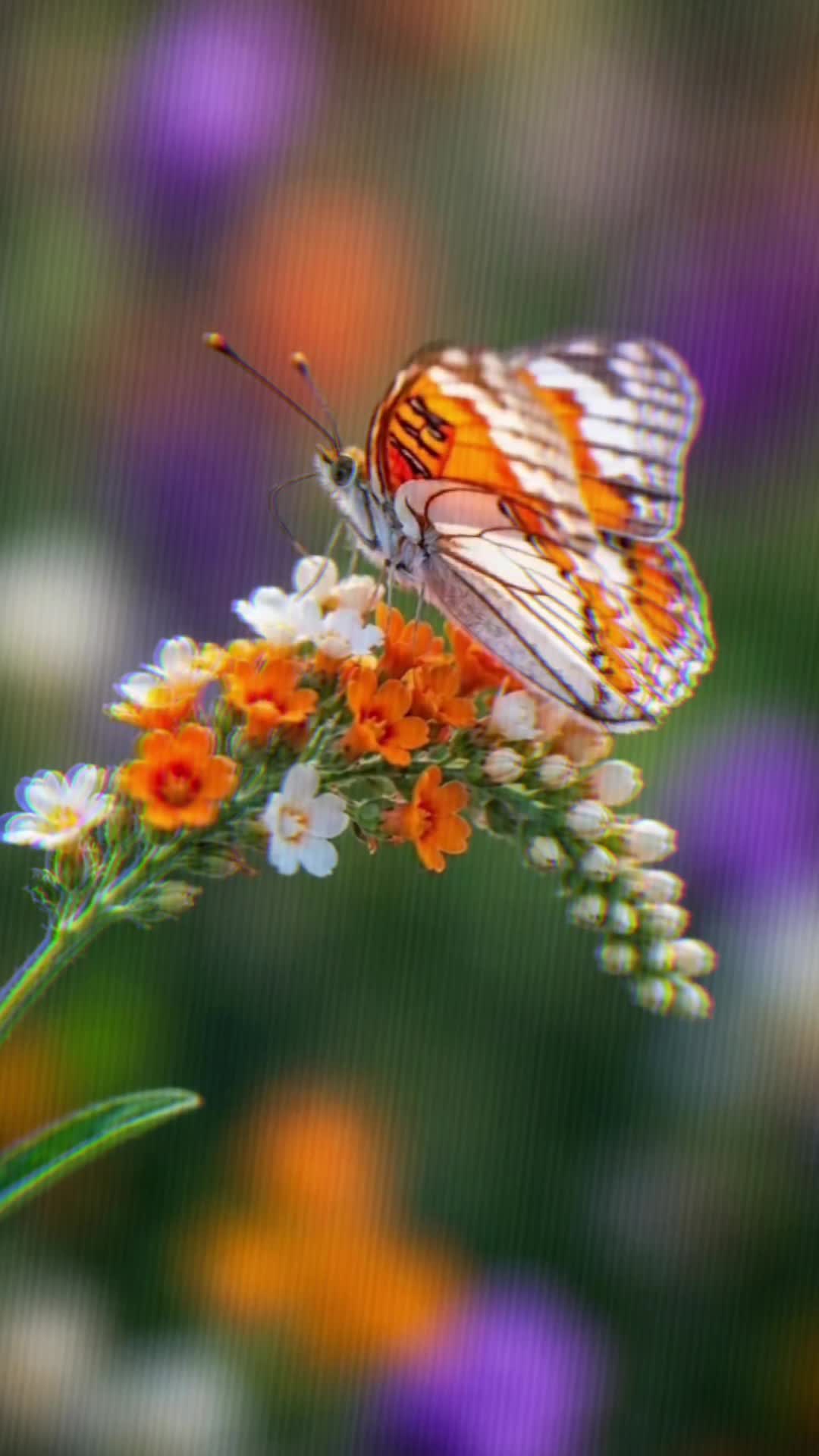 @R300๐