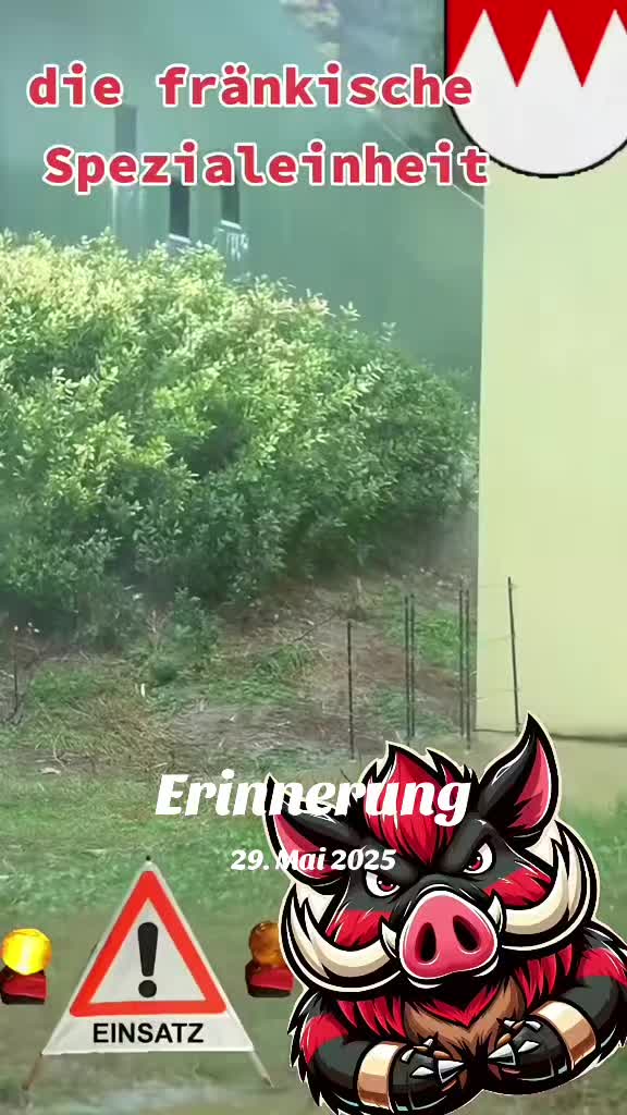 @🐗Fr&auml;nkischer-Rampen- Eber🐗