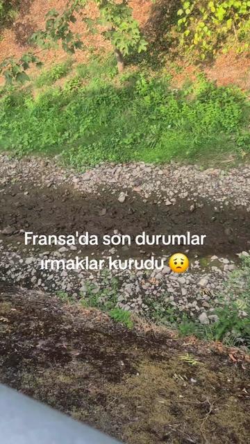 @⚜️AY_MO_03⚜️