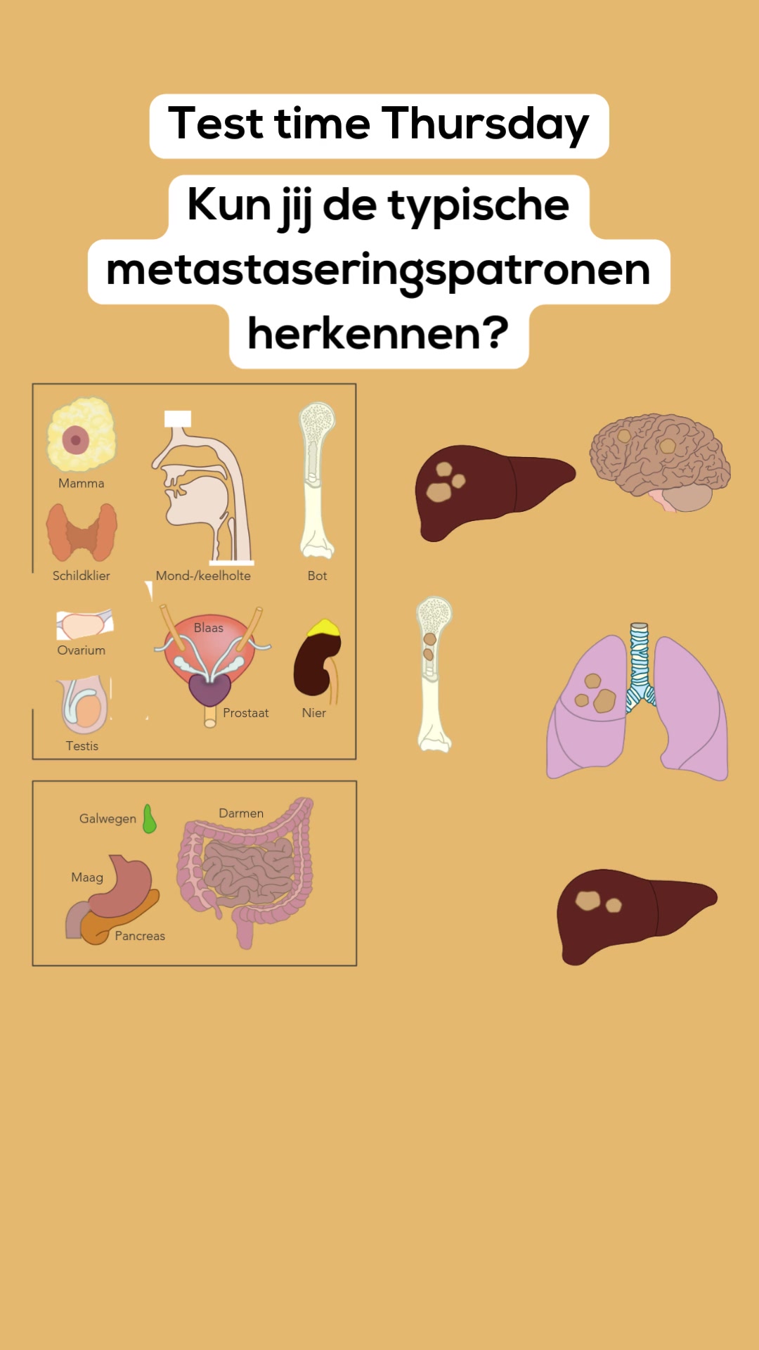 @Compendium Geneeskunde